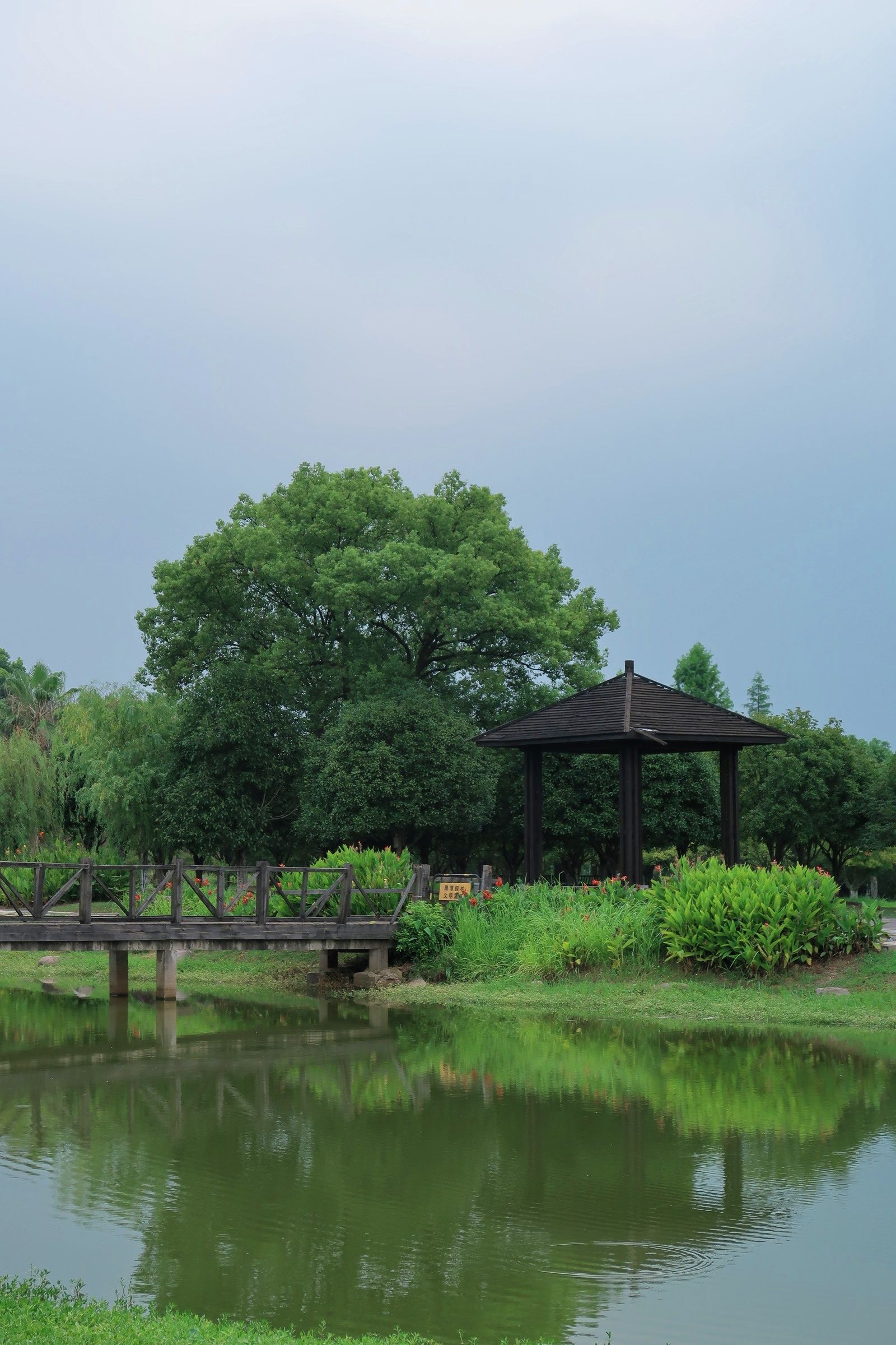 信江国家湿地公园旅行图片 2