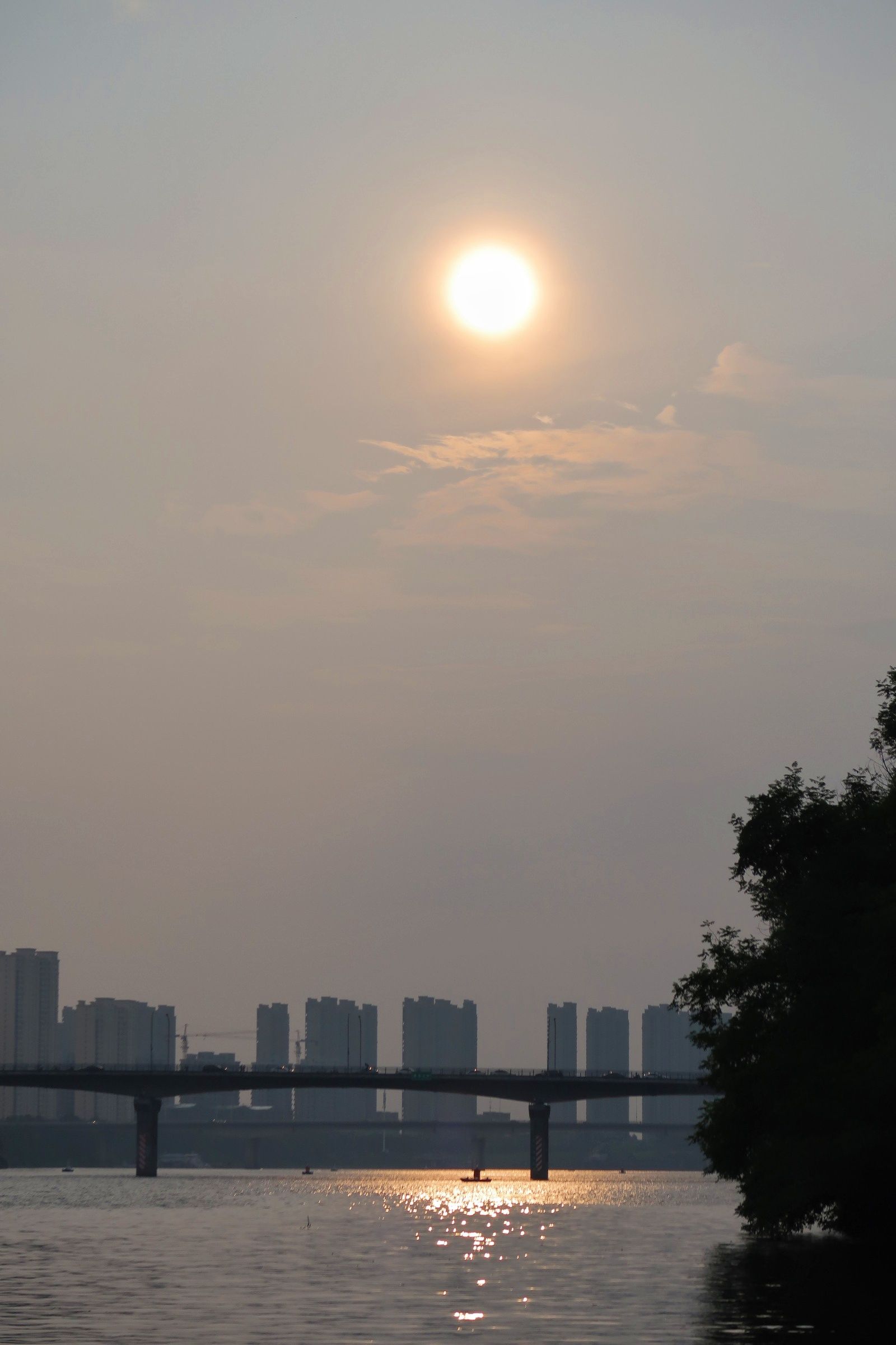 信江国家湿地公园旅行图片 3