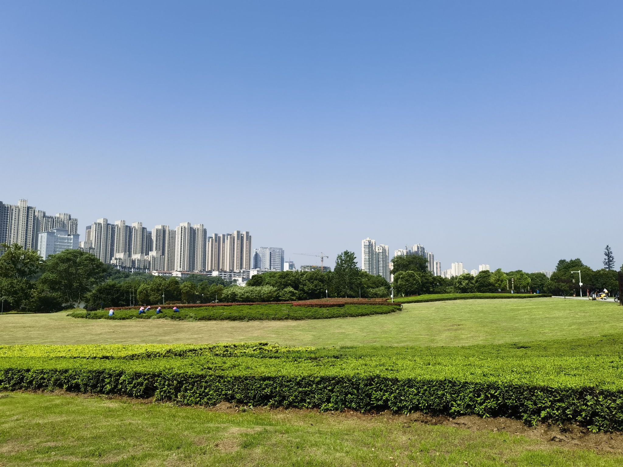 信江国家湿地公园旅行图片 3