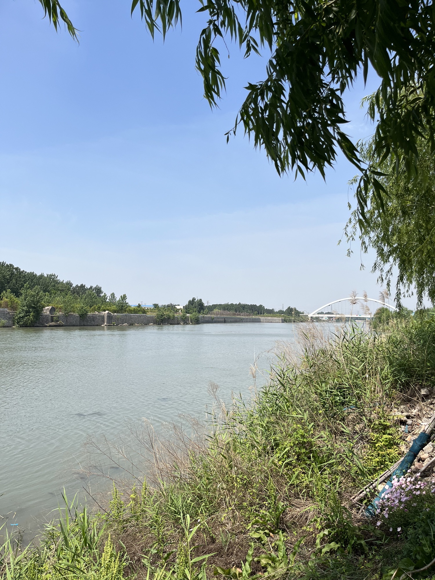 大吴街道滨河公园