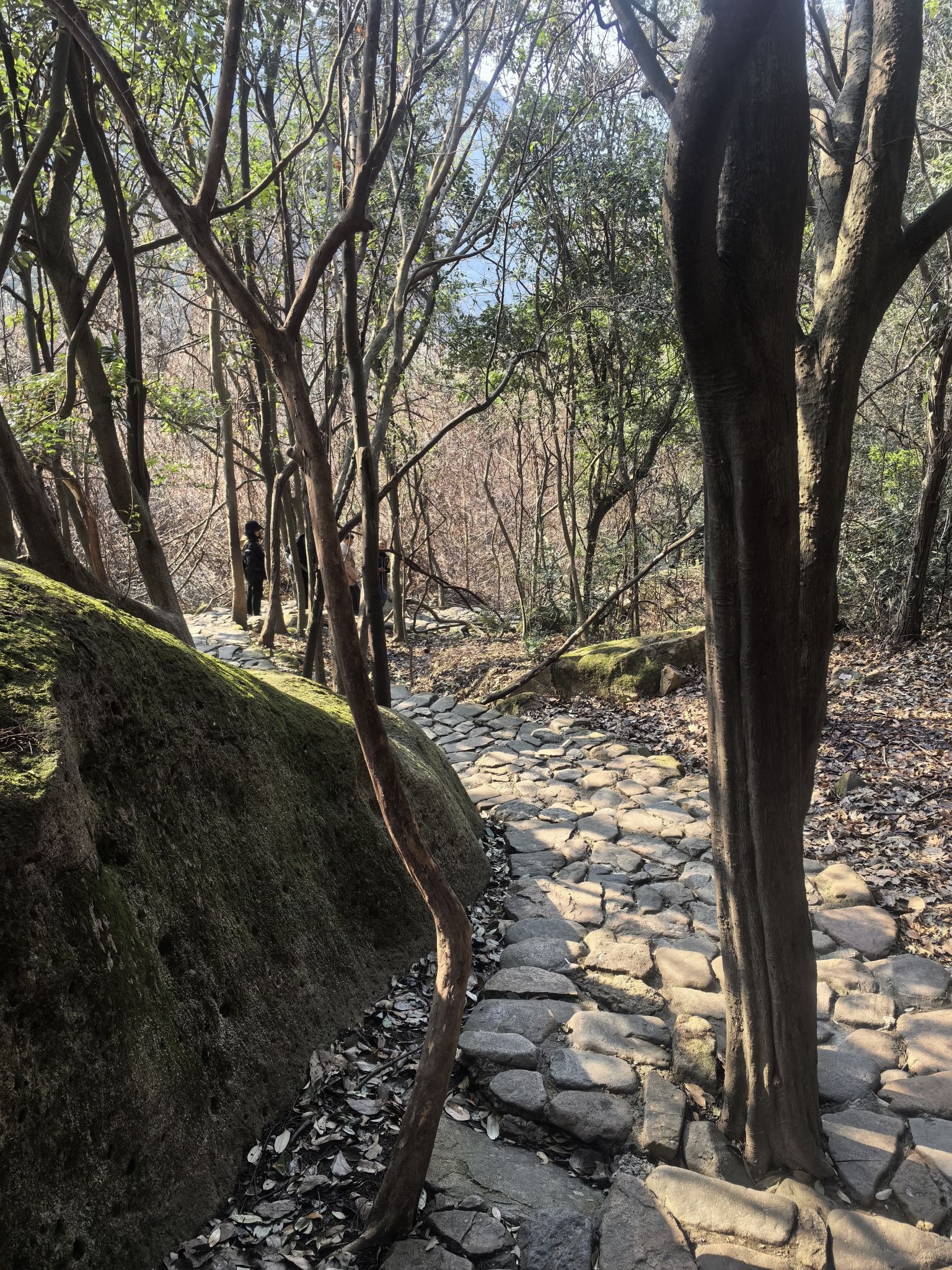 栲栳山风景区旅行图片 1