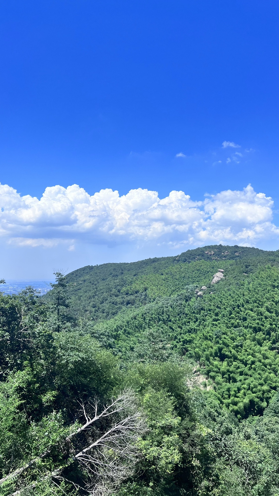 栲栳山风景区旅行图片 2