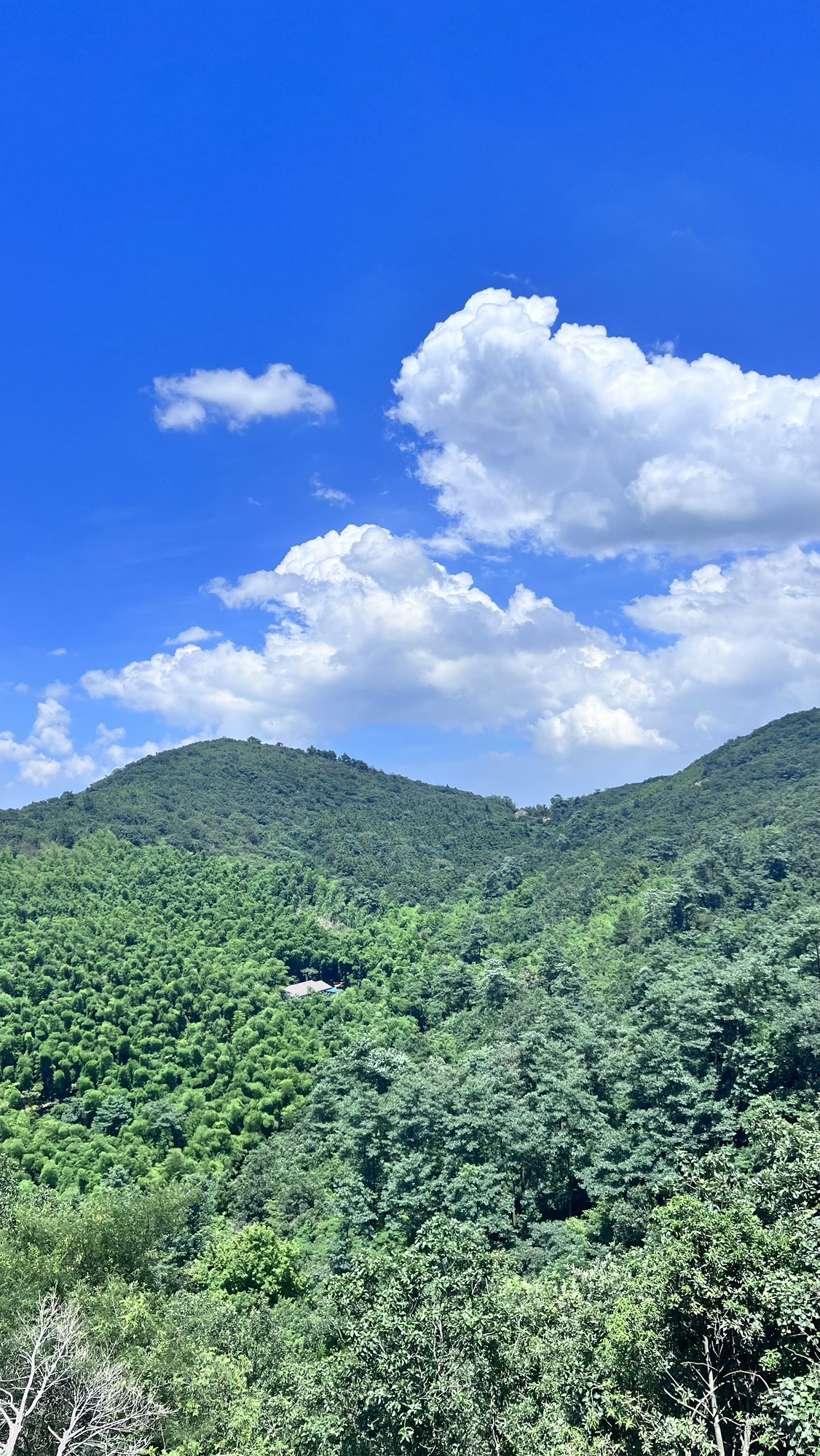 栲栳山风景区旅行图片 1