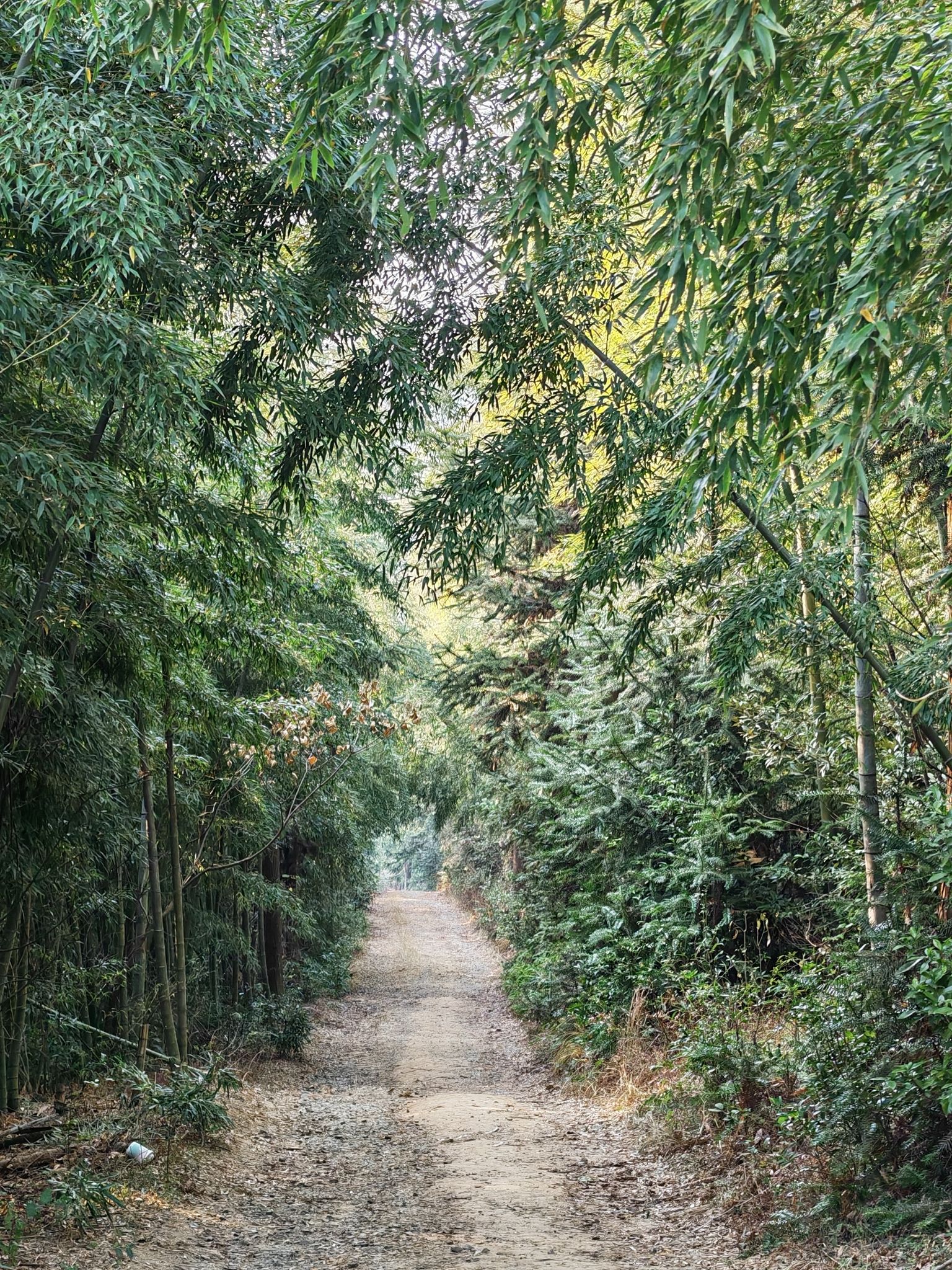 栲栳山风景区旅行图片 1