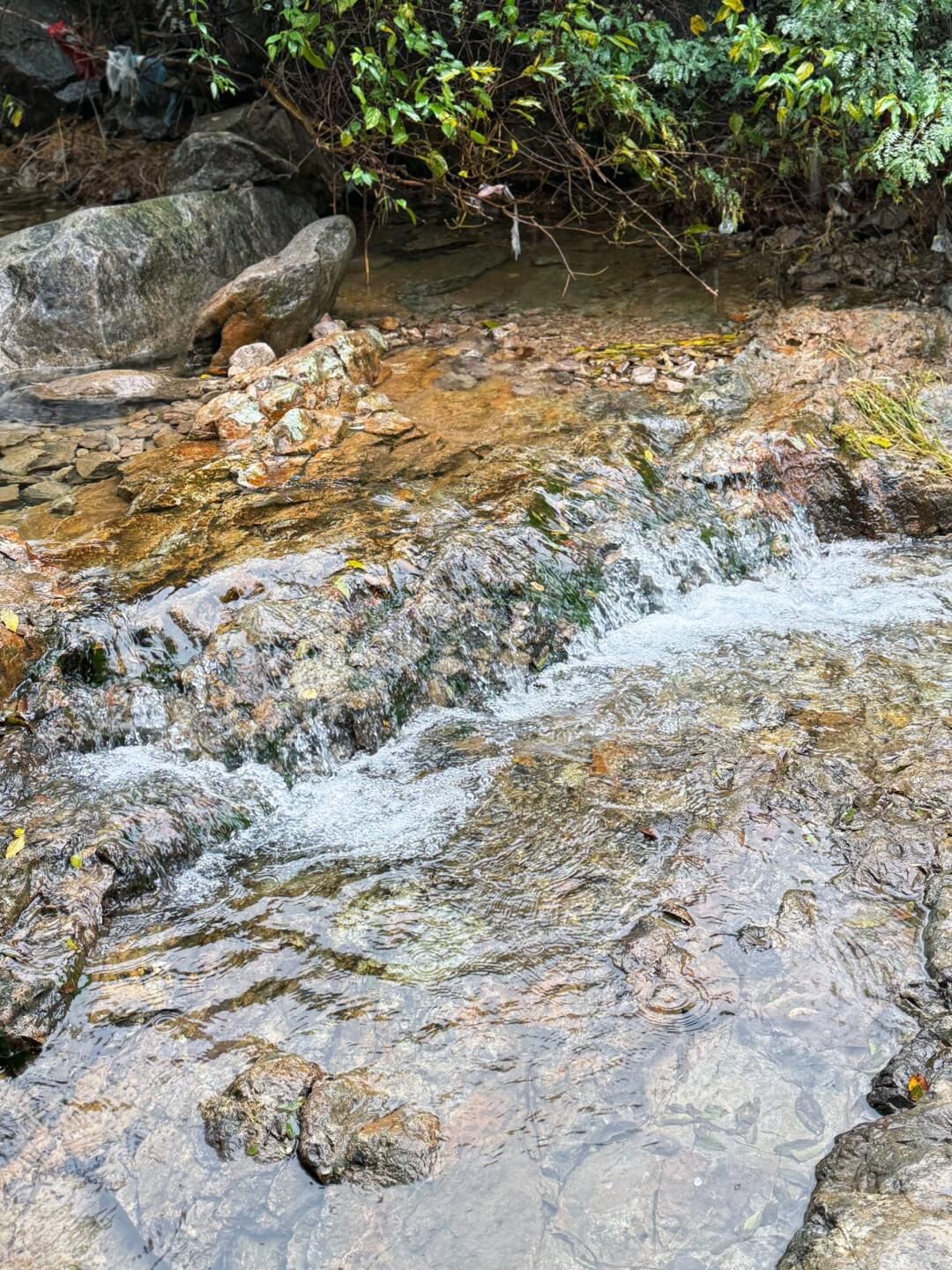 栲栳山风景区旅行图片 1