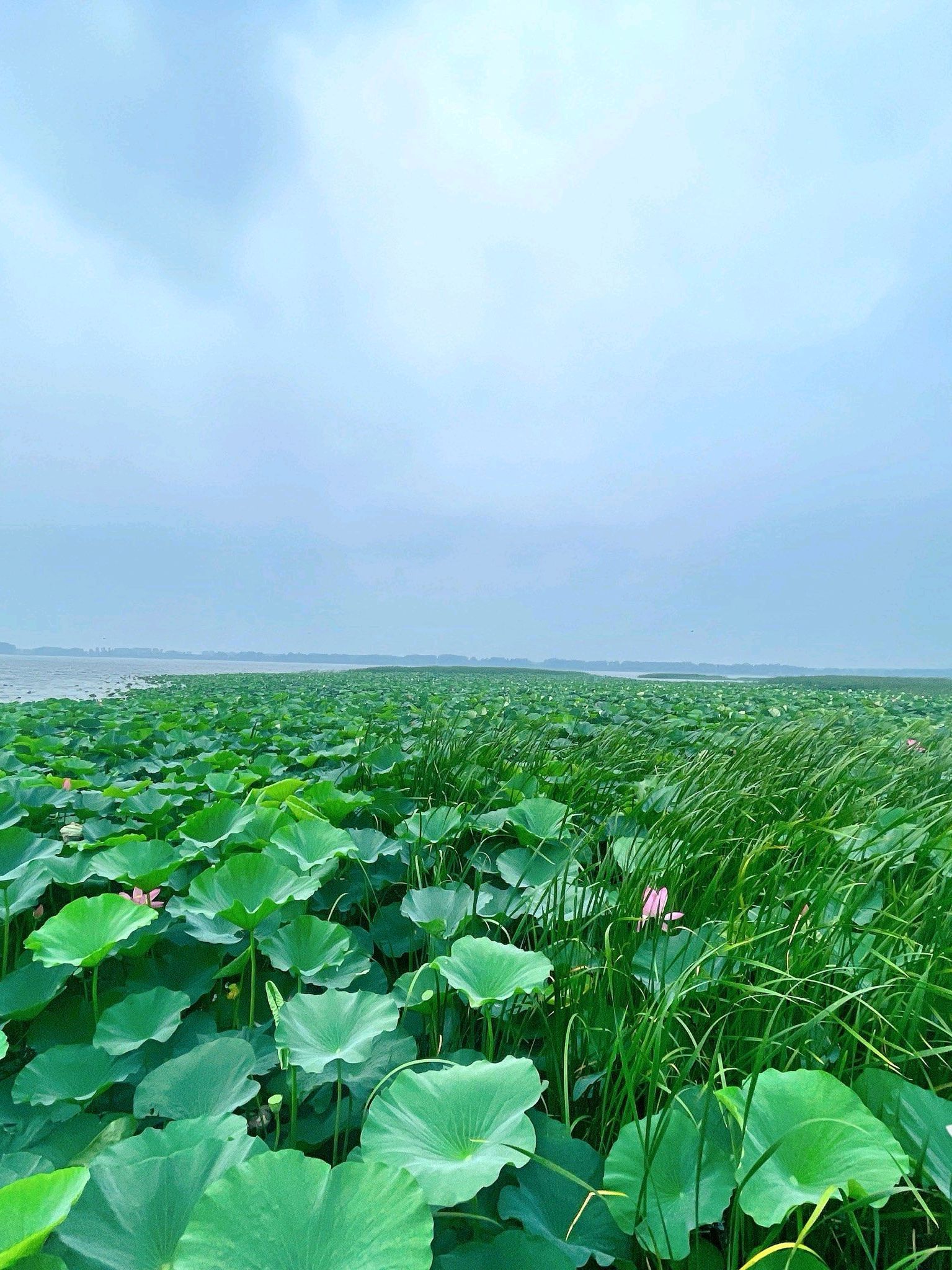 沈阳珍珠湖旅行图片 3