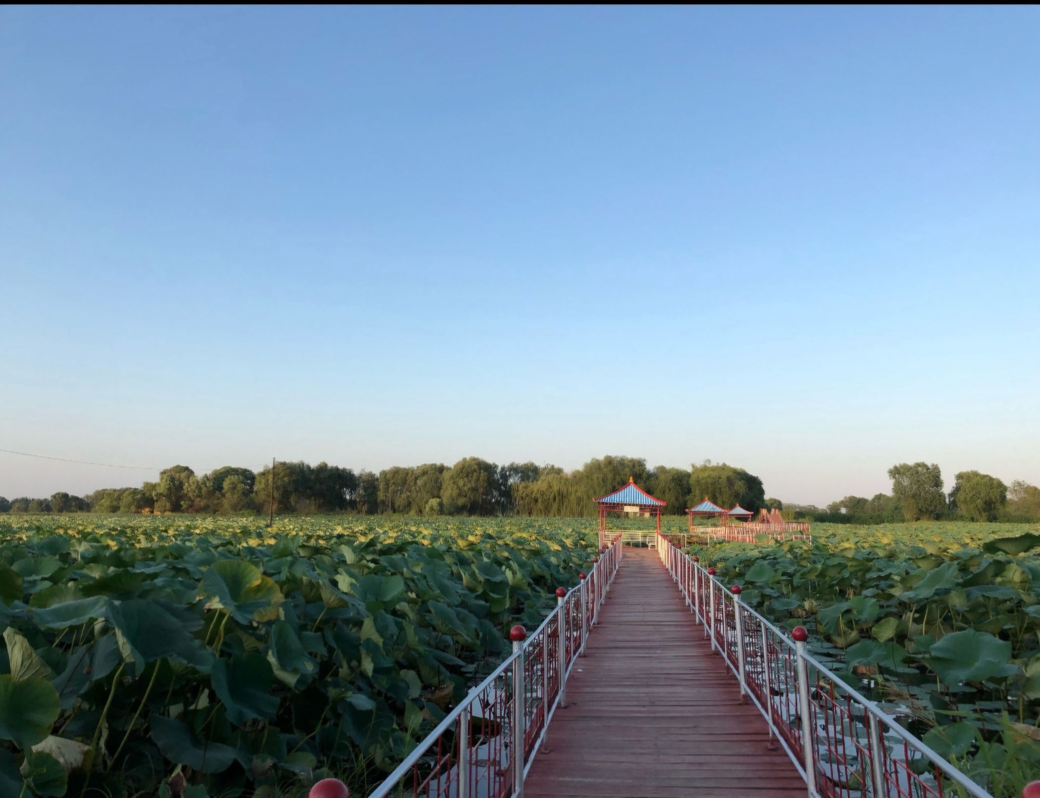 沈阳珍珠湖旅行图片 1