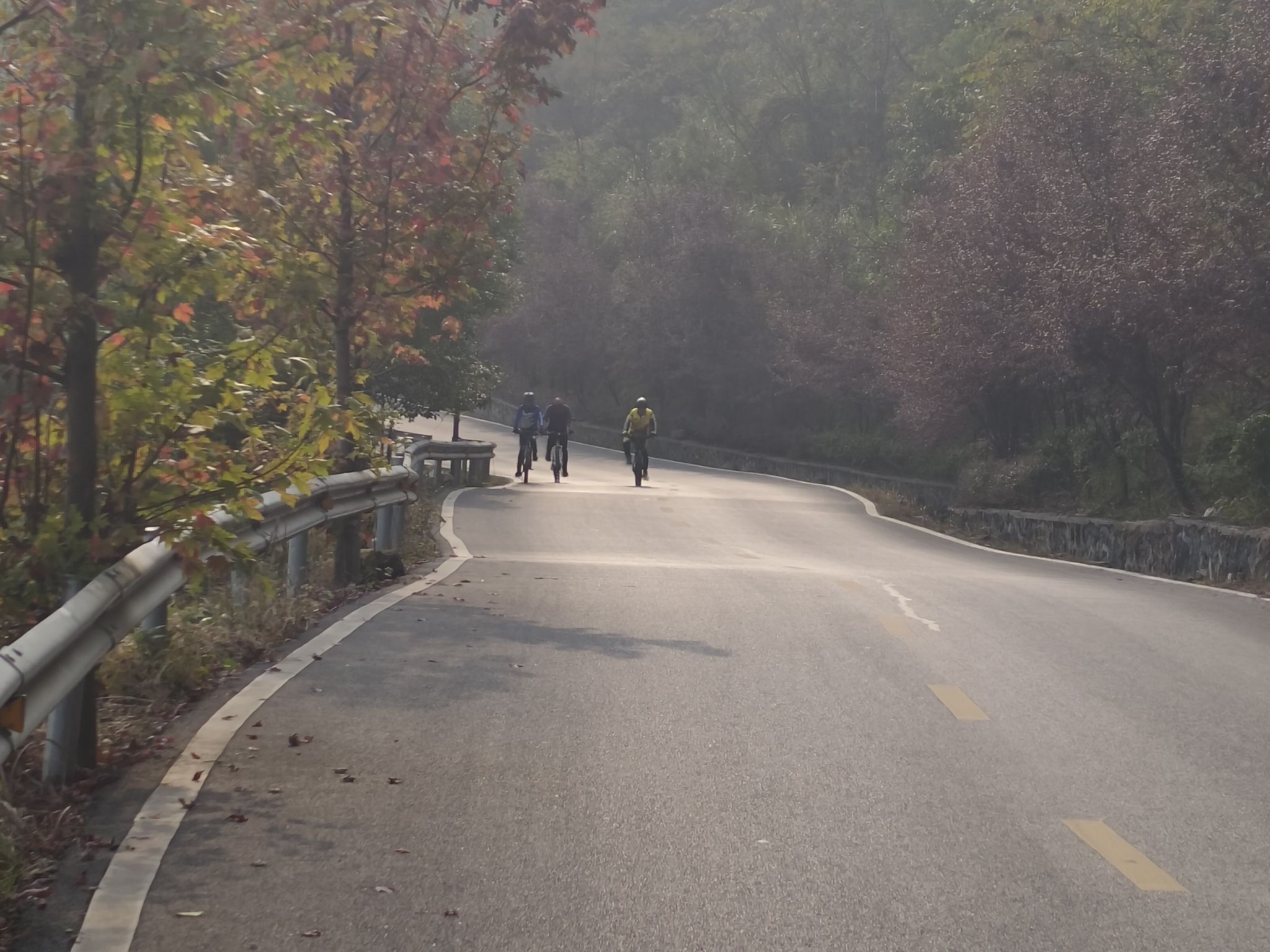 紫云峰国家森林公园旅行图片 3
