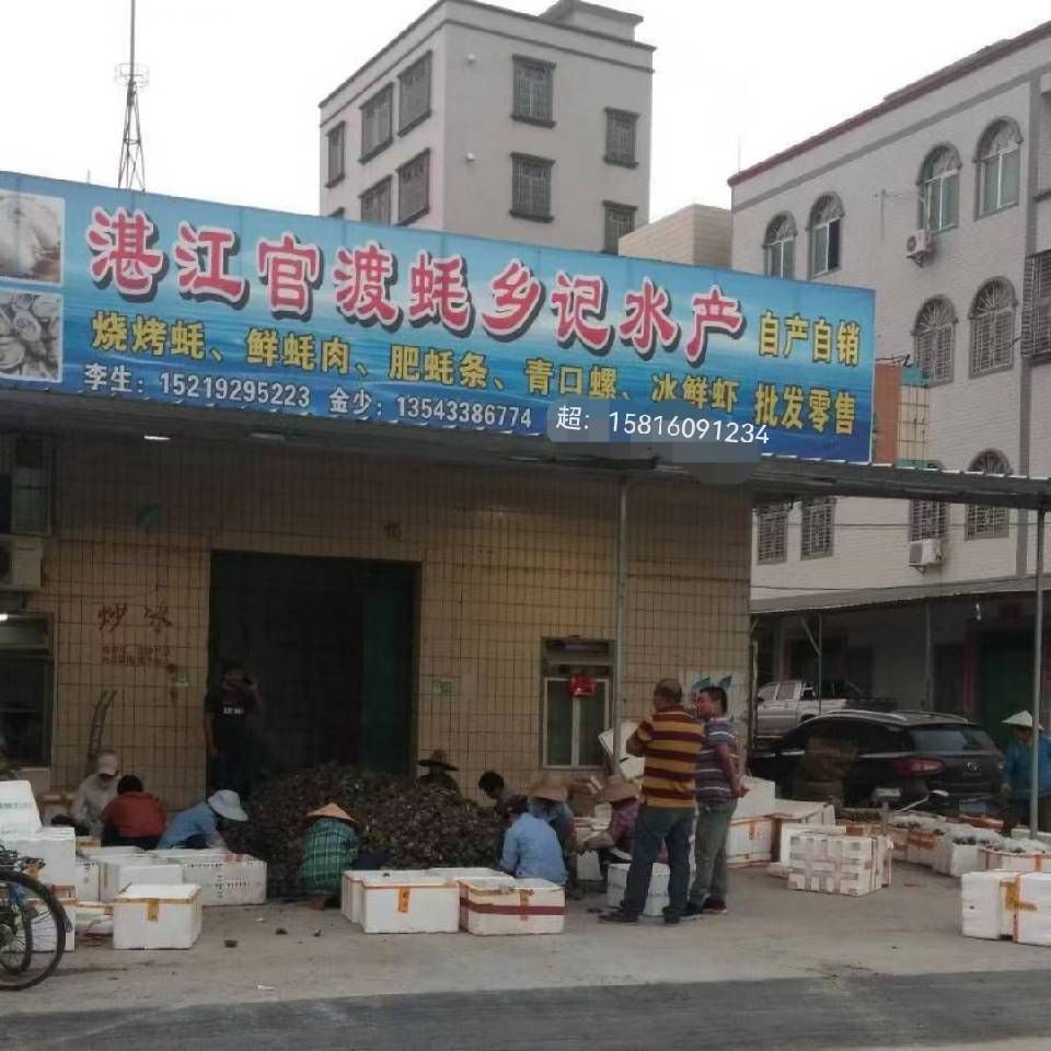 湛江官渡蚝乡记水产