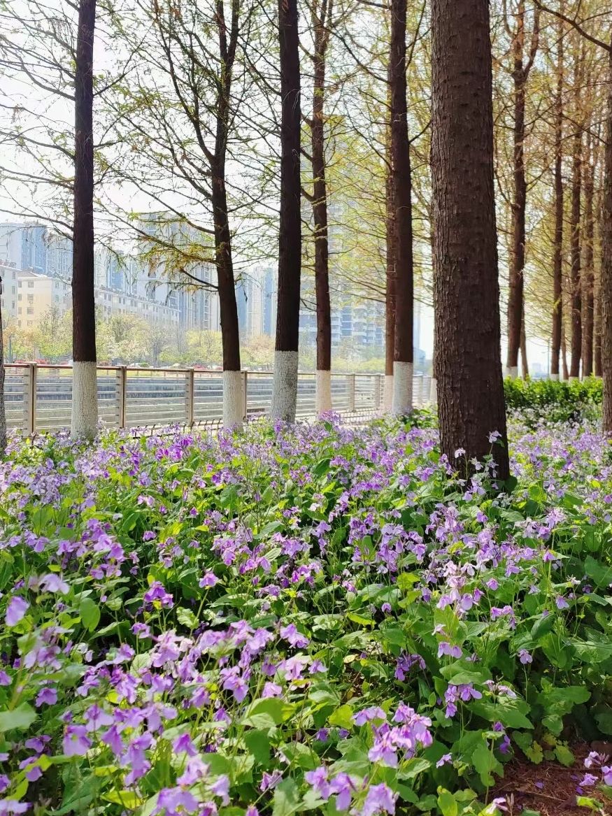 陷泥河清雅园 - 盛庄街道便民圈栖邻生活圈风景名胜服务点实景照片