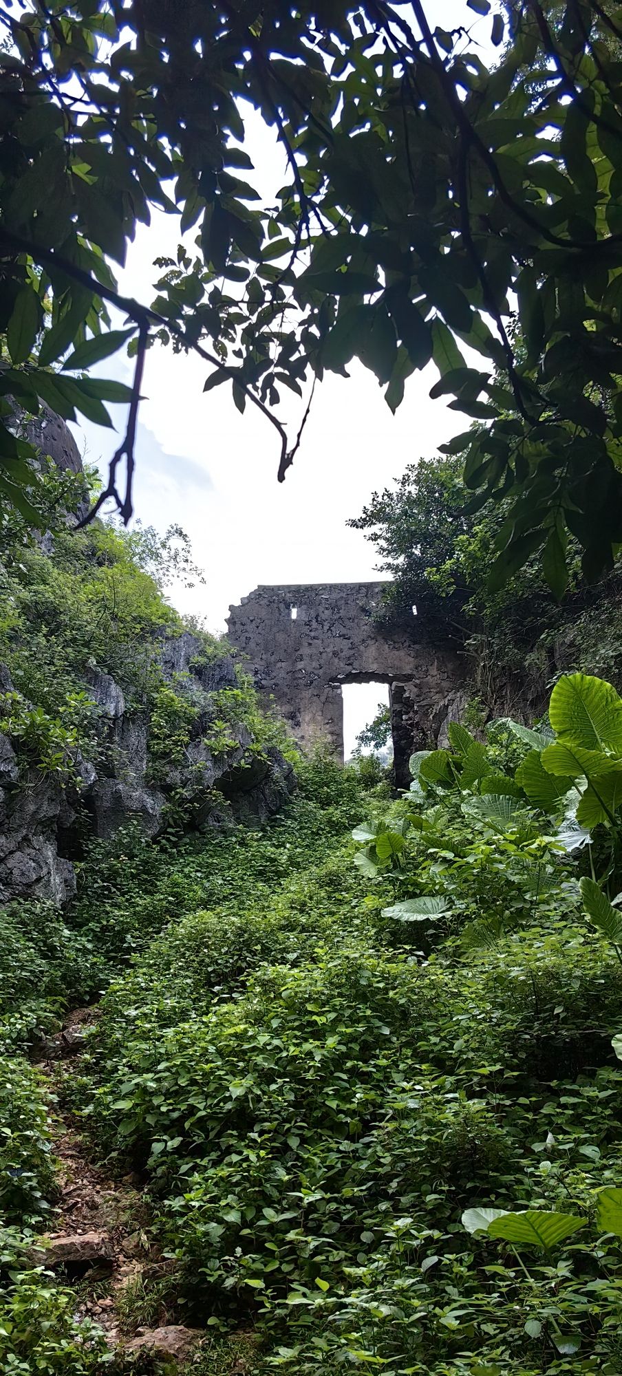 陆川县珊罗镇田龙村龙尾屯将军寨通天蜡烛旅行图片 2