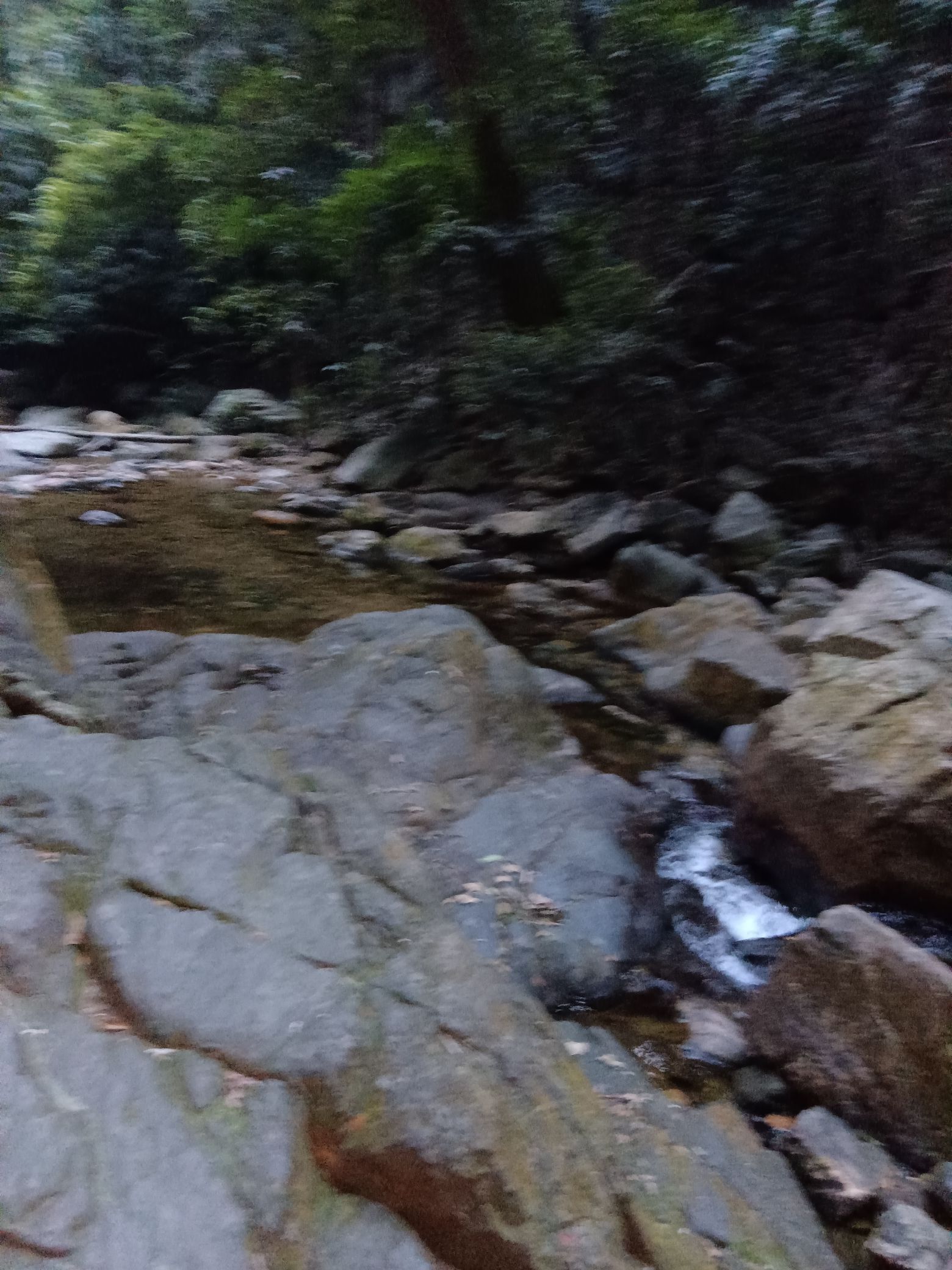 宝华公园旅行图片 3