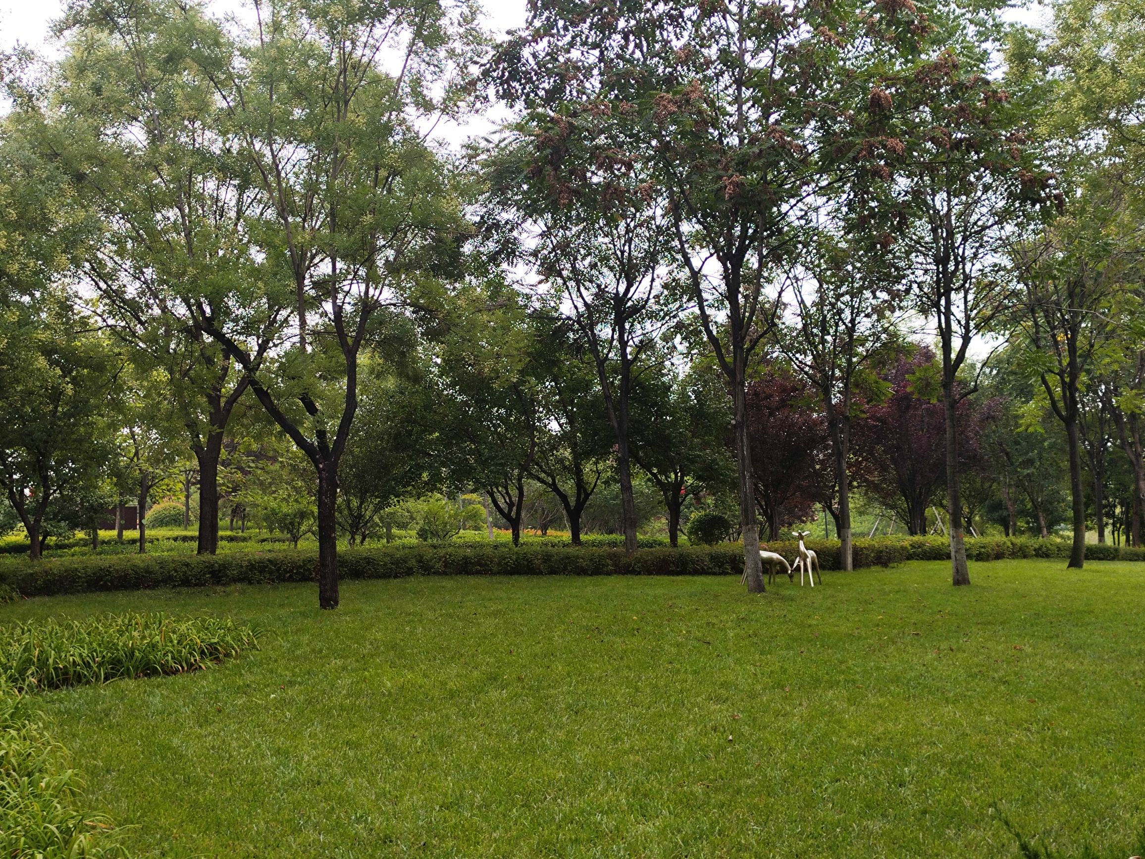 复圣文化旅游区旅行图片 2