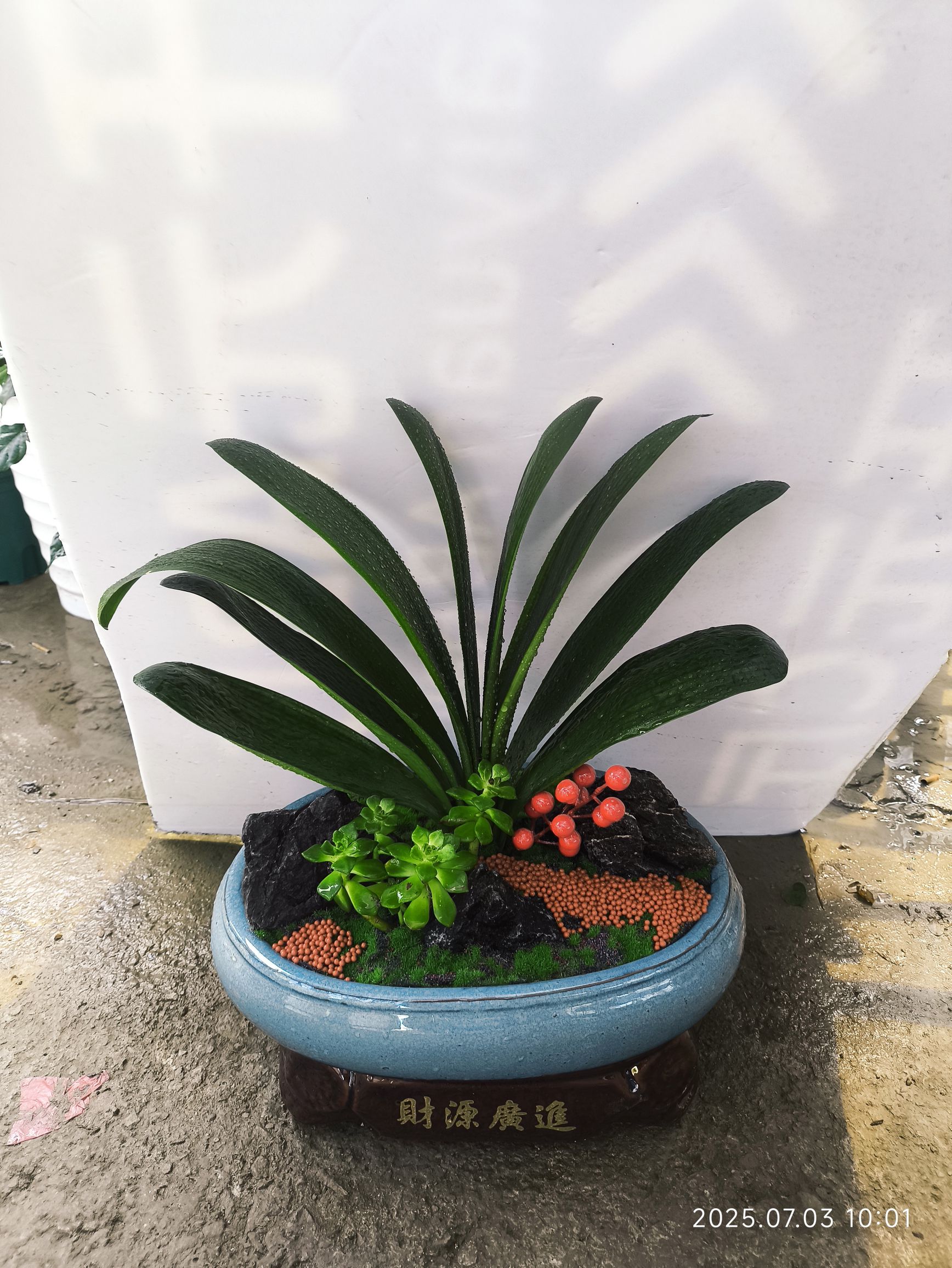 绍兴迎丽花卉园艺场