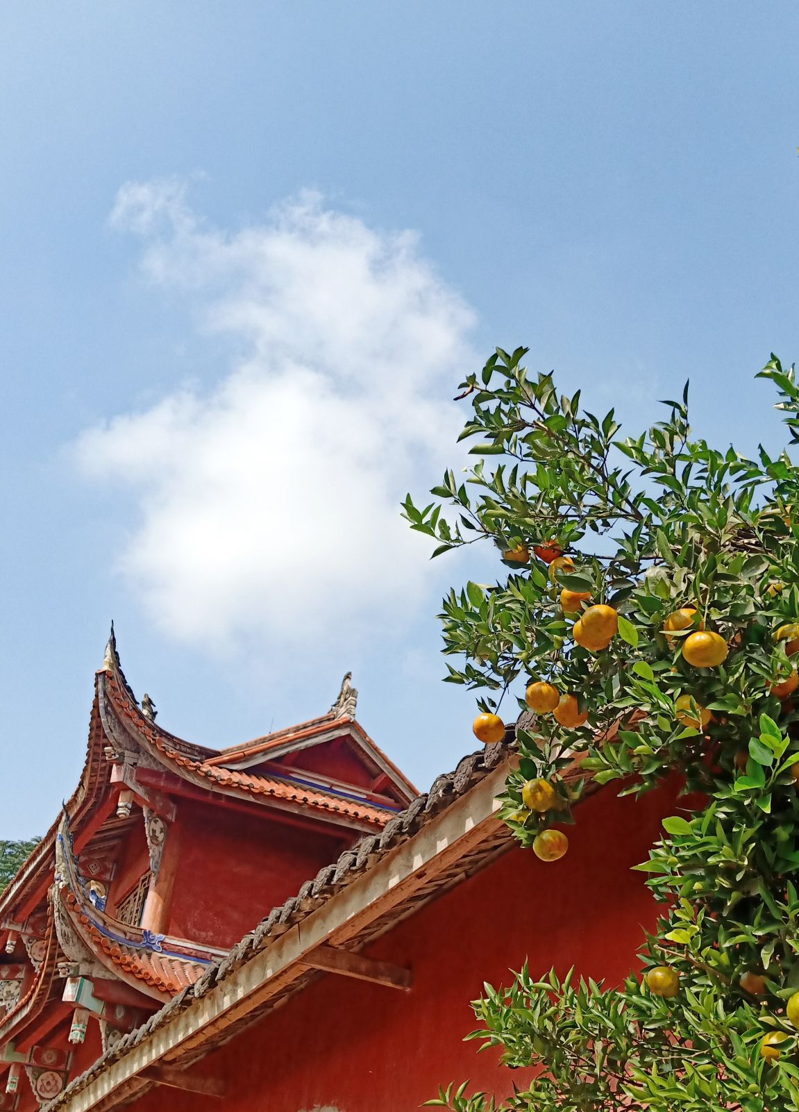三佛洞旅行图片 1