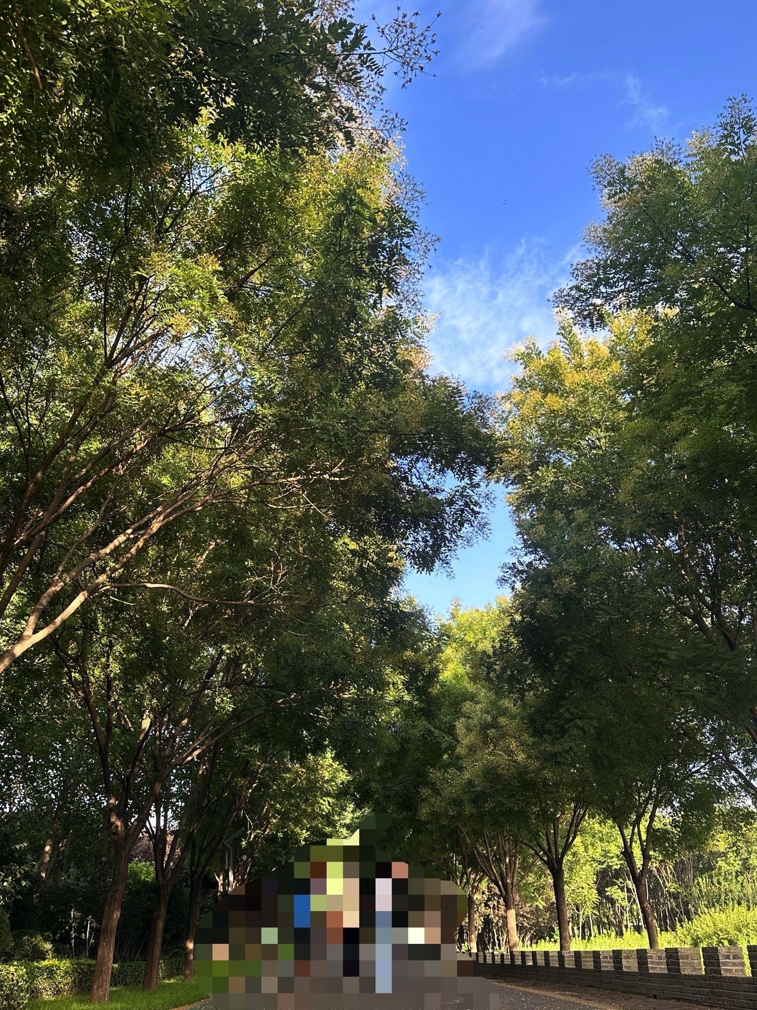 林海绿源太行中心公园旅行图片 3