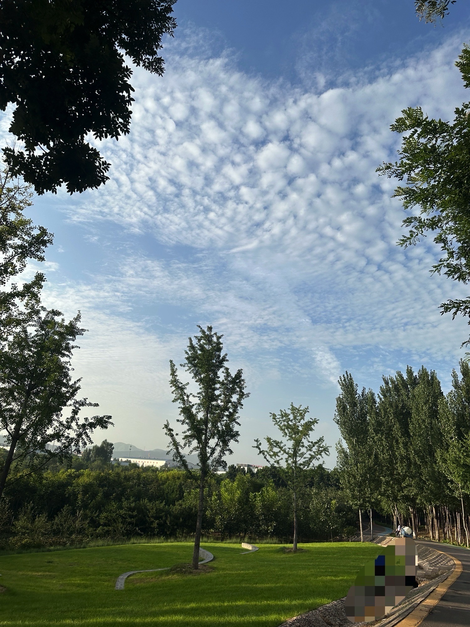 林海绿源太行中心公园旅行图片 1