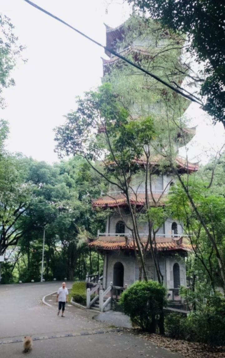 留安山公园旅行图片 3