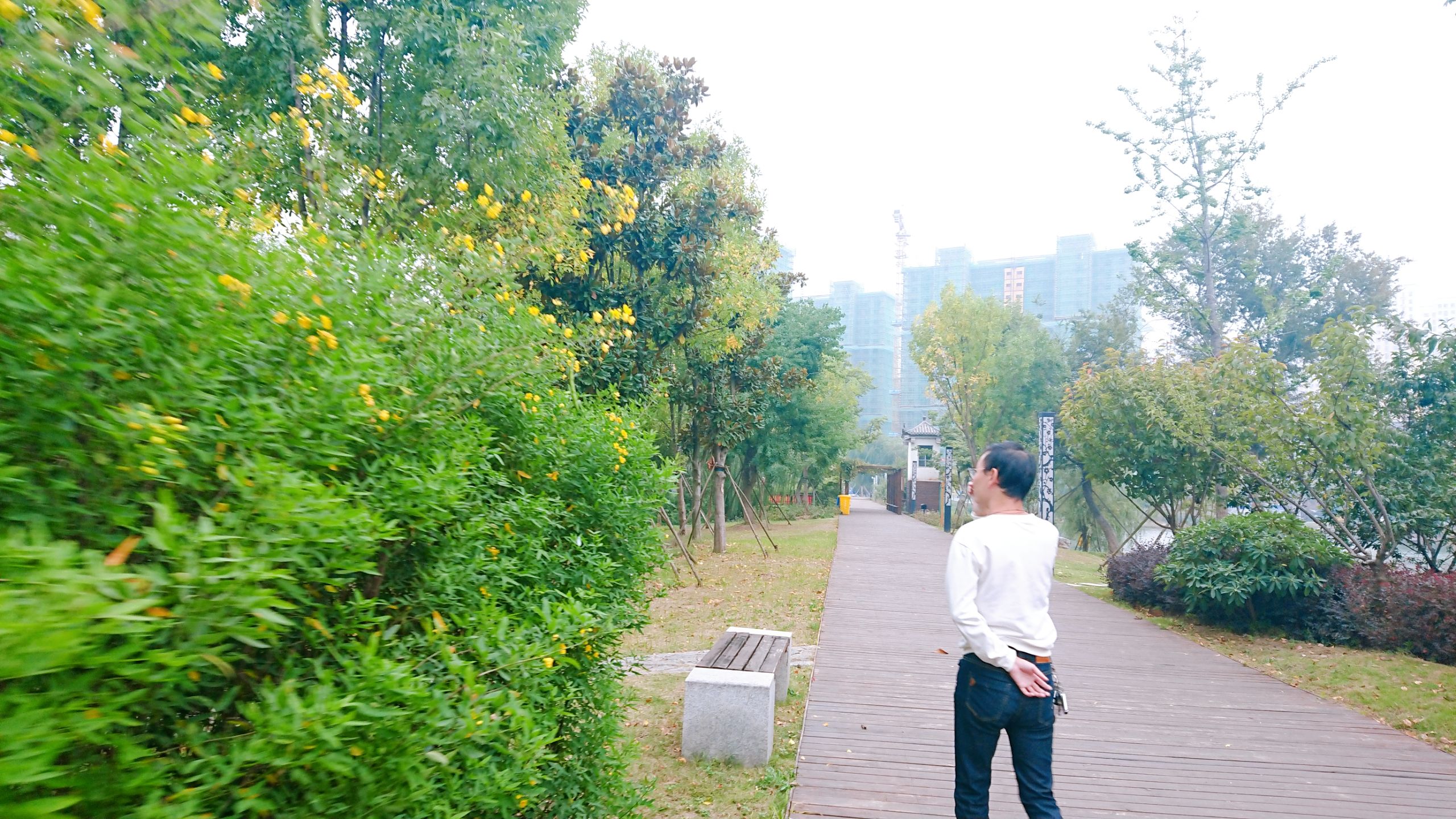 金湖公园旅行图片 3