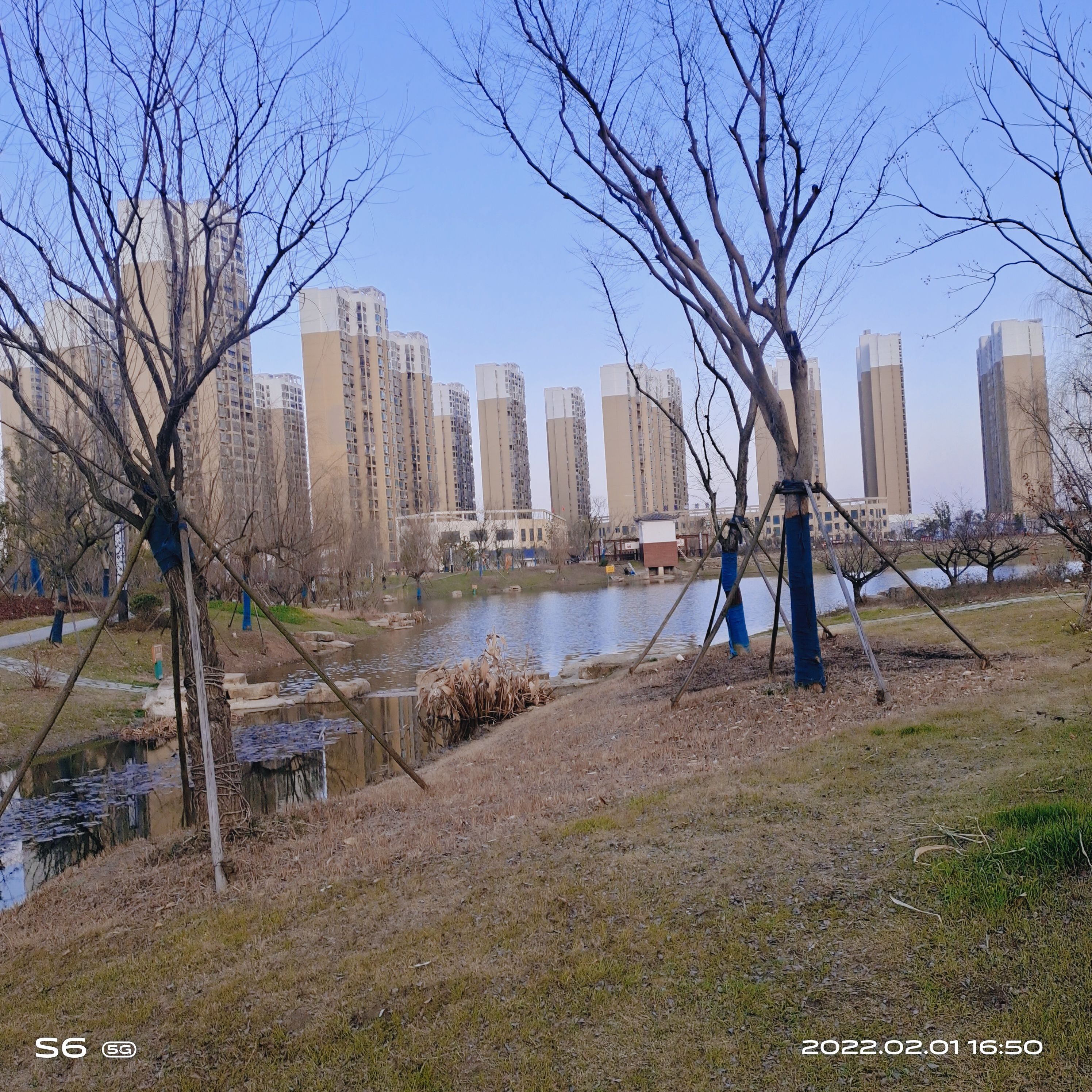 金湖公园旅行图片 3