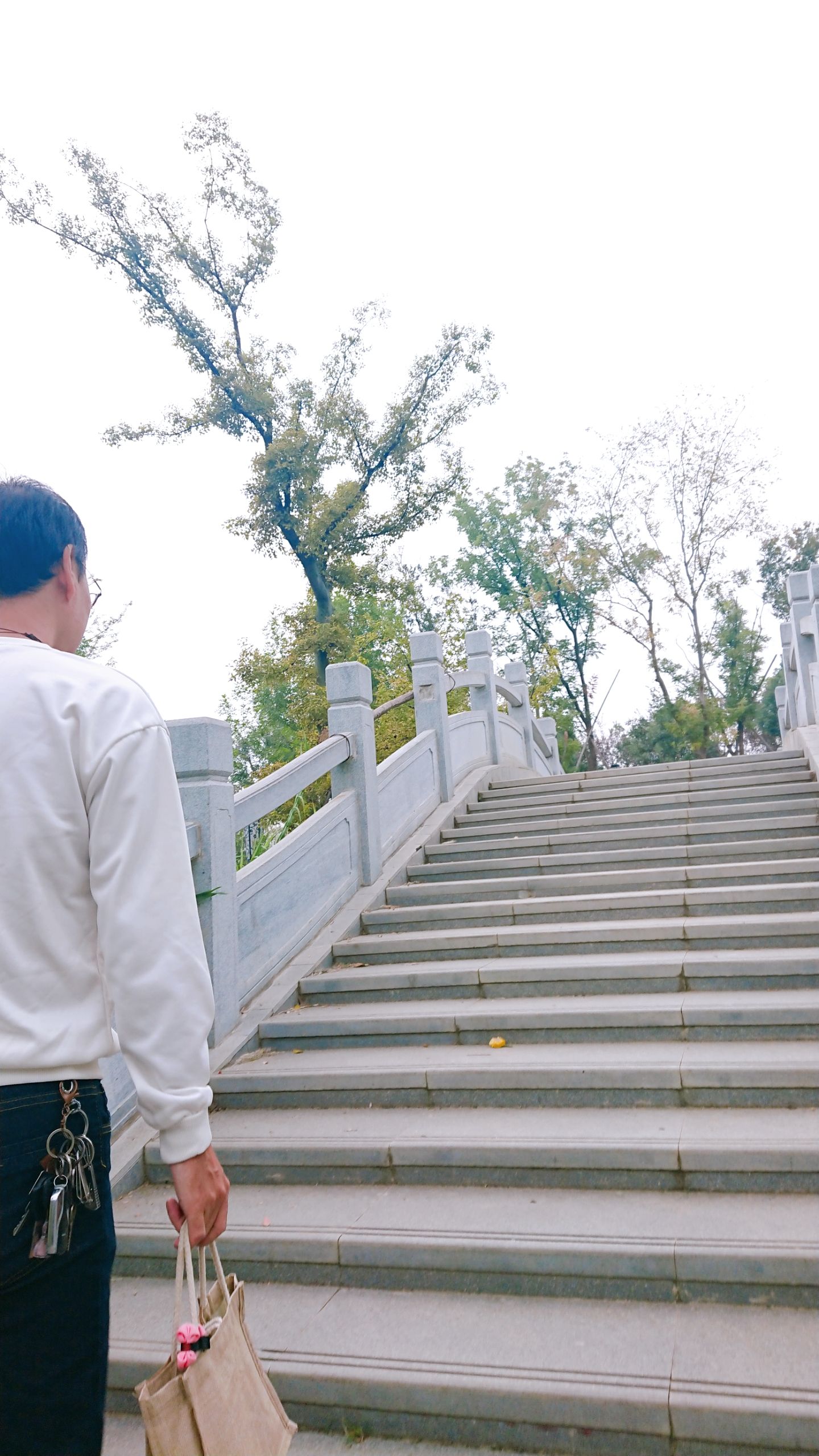 金湖公园旅行图片 2