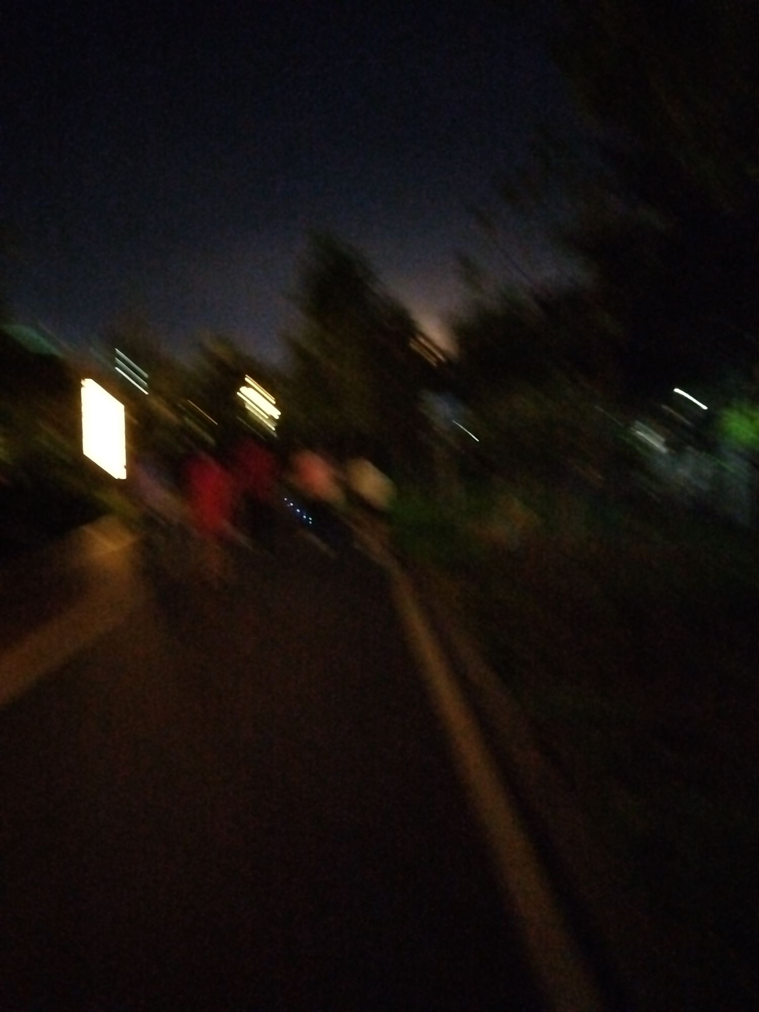 金湖公园旅行图片 2