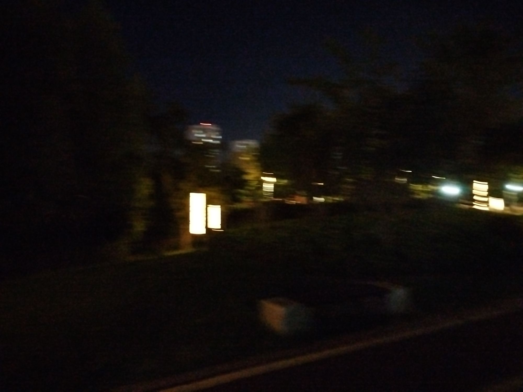 金湖公园旅行图片 3