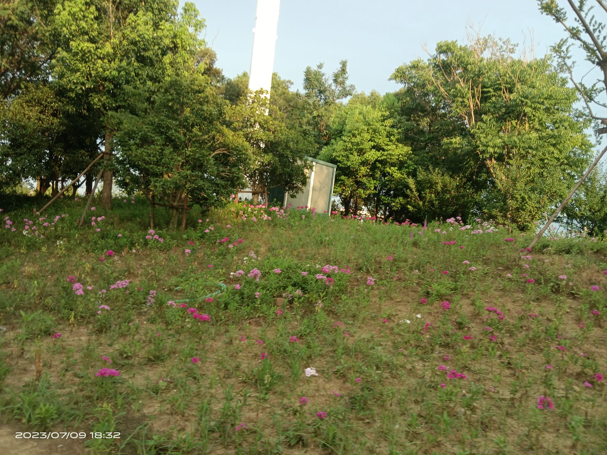 金湖公园旅行图片 3