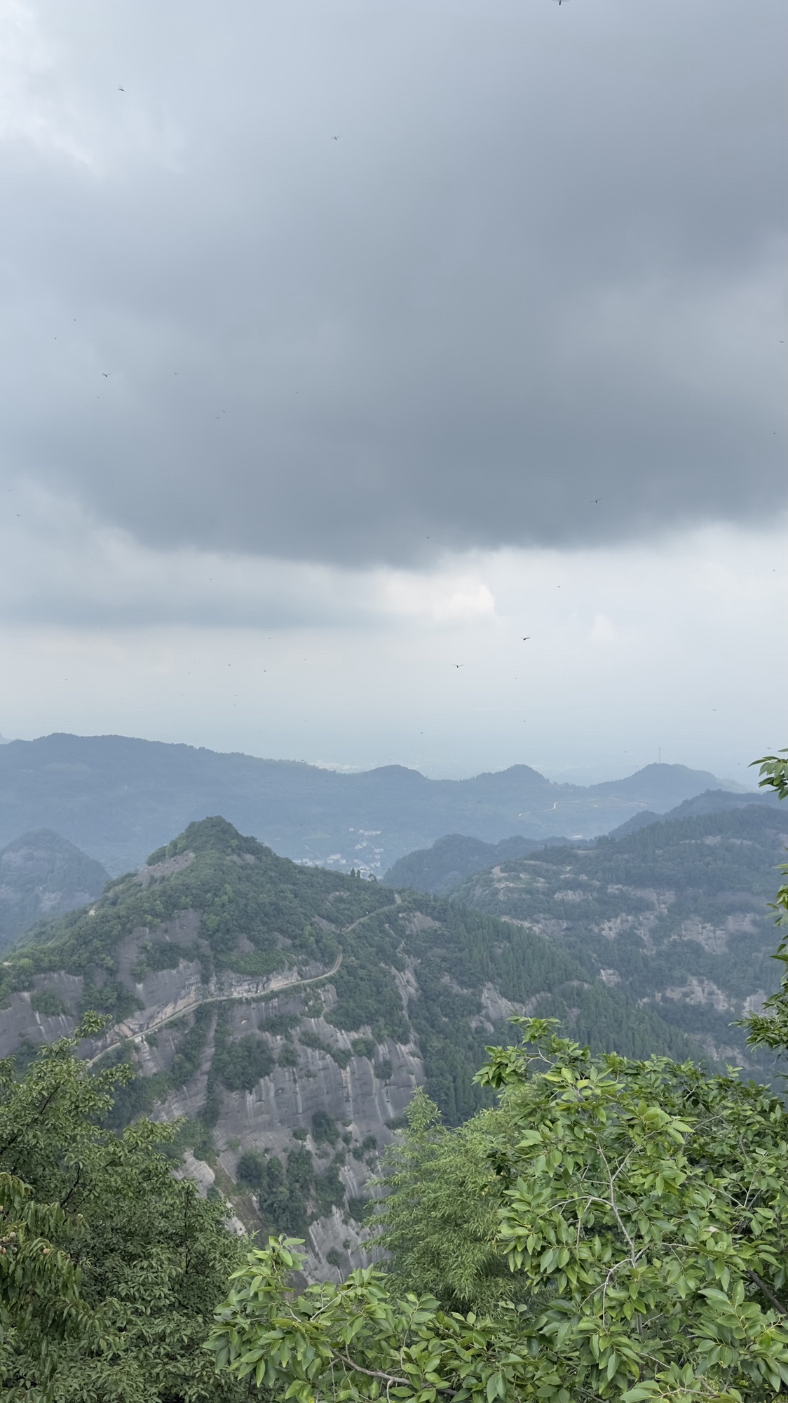 宜昌市点军区旅行攻略