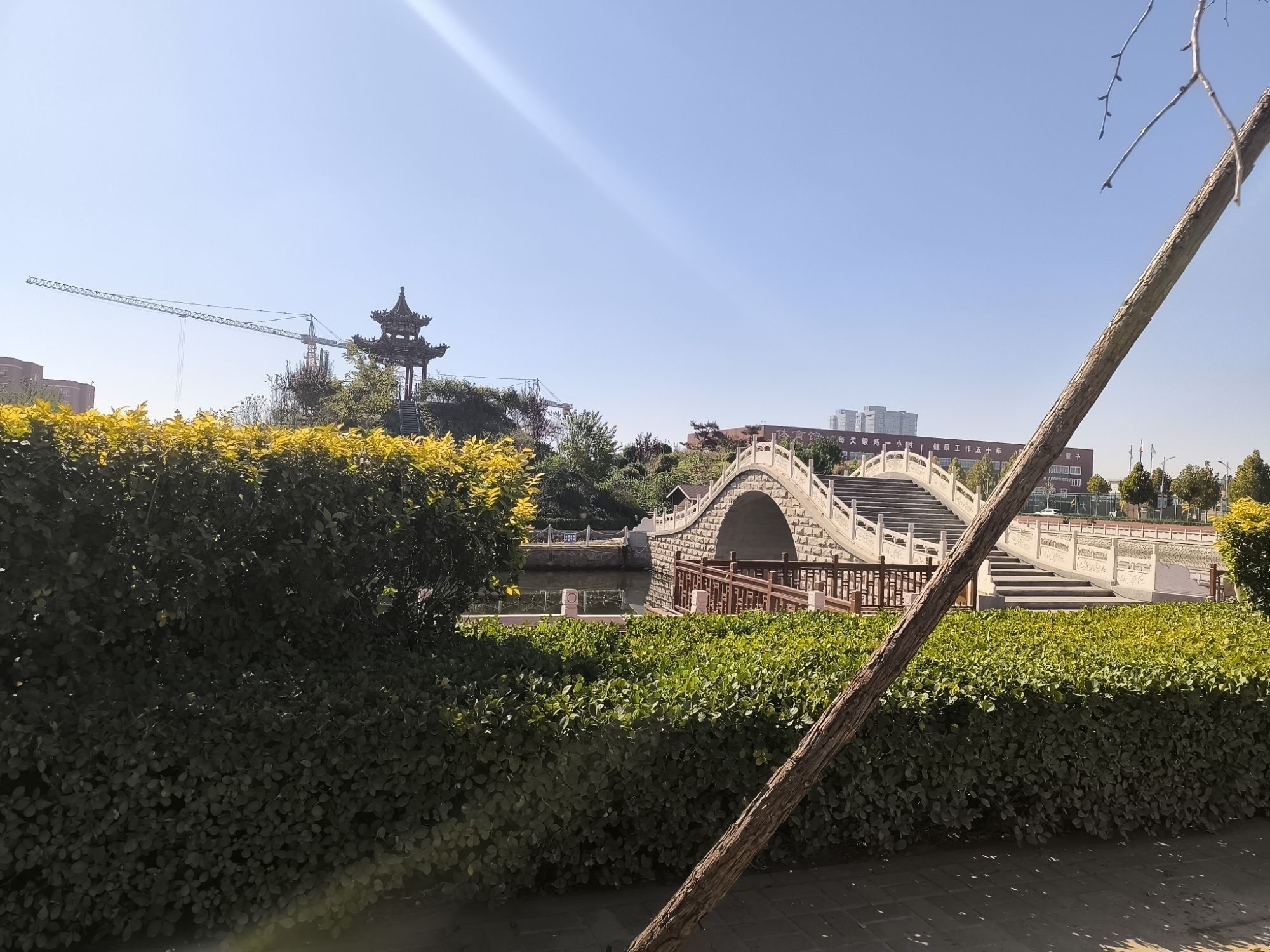 乐思湖(不对外开放)旅行图片 2
