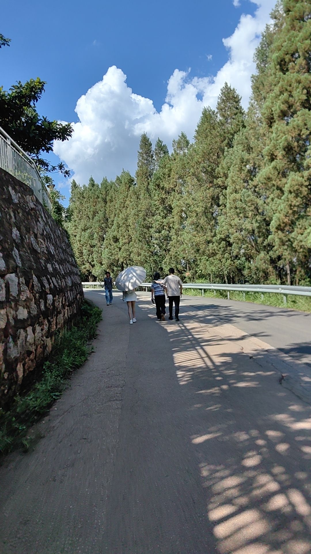 乐思湖(不对外开放)旅行图片 2
