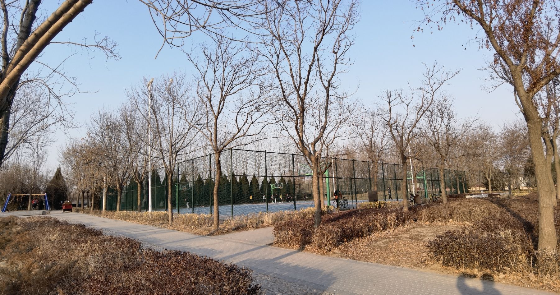 采育公园旅行图片 2