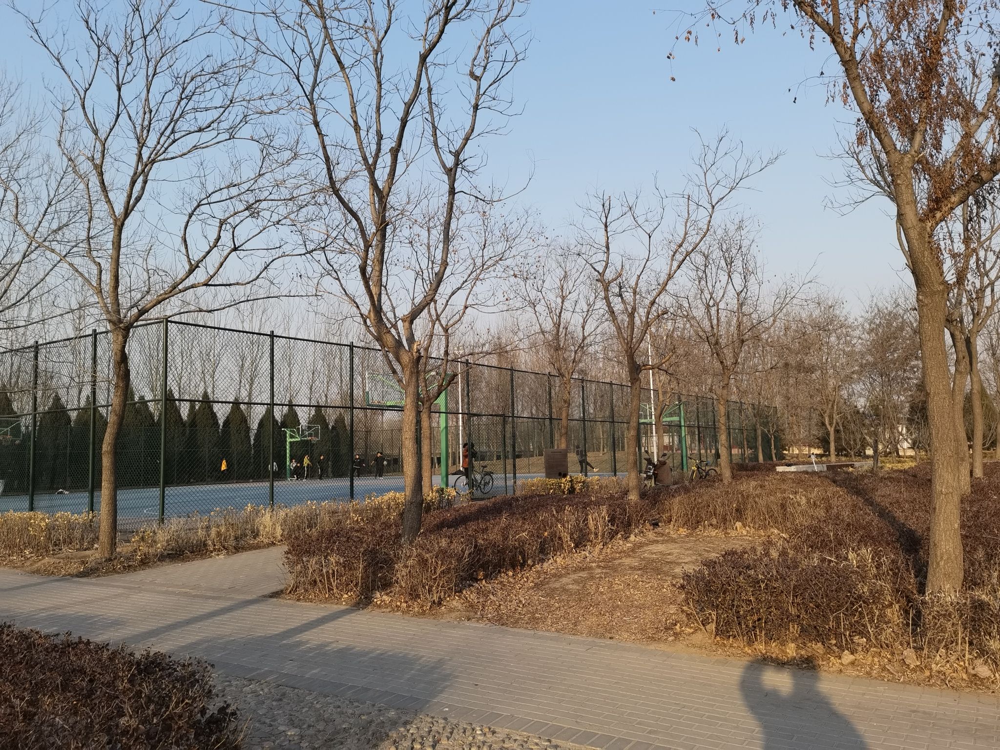 采育公园旅行图片 3