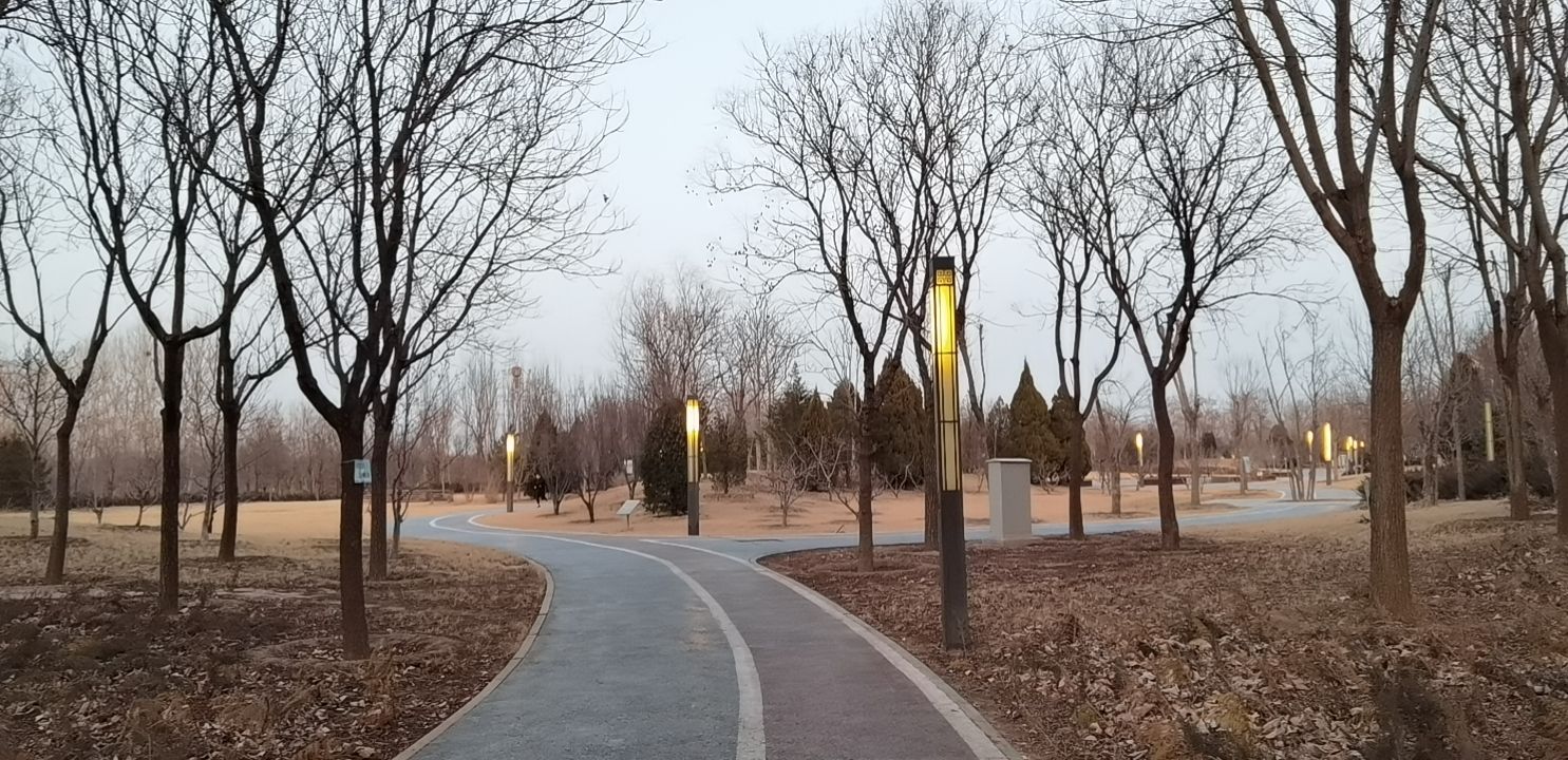 采育公园旅行图片