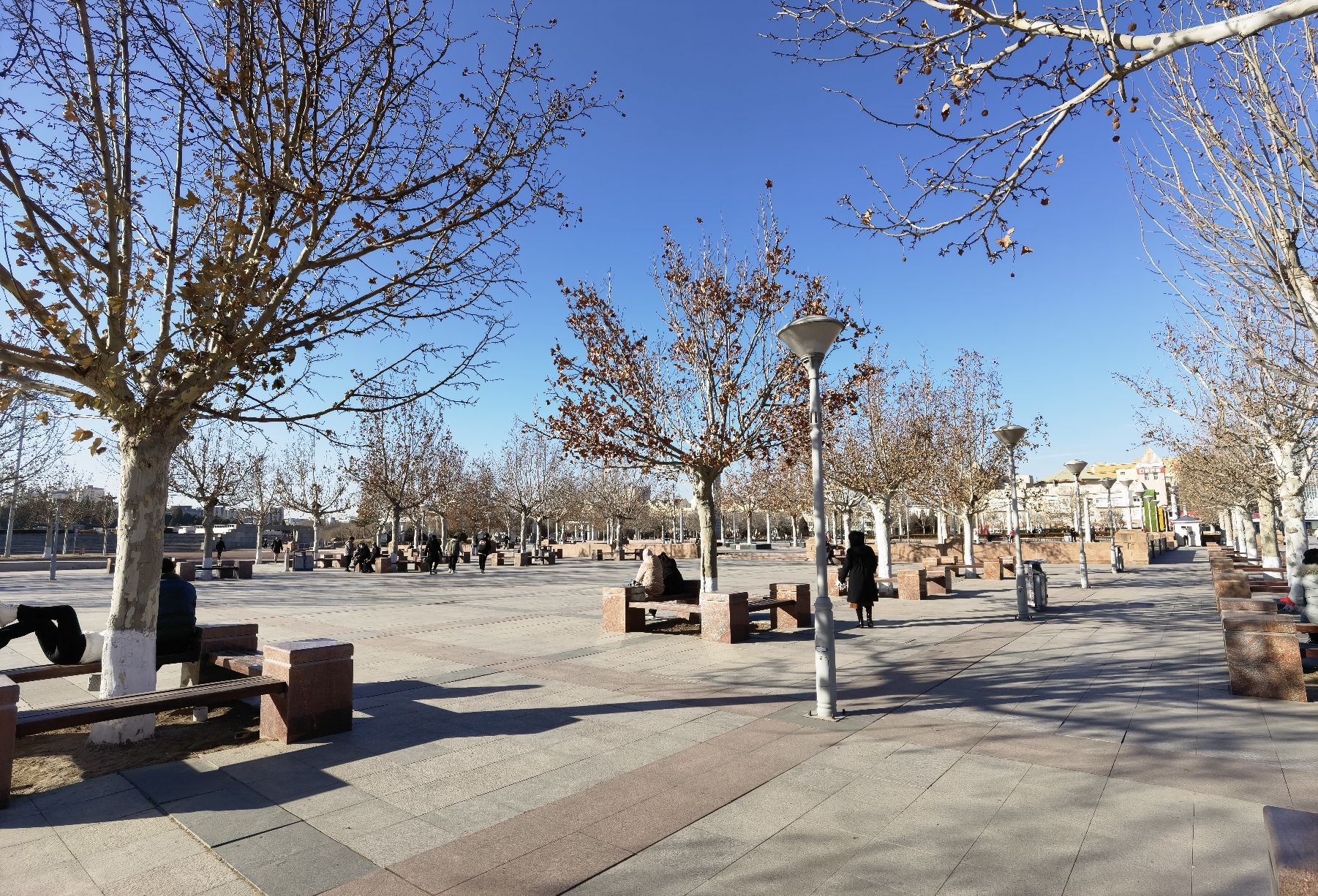 采育公园旅行图片 2