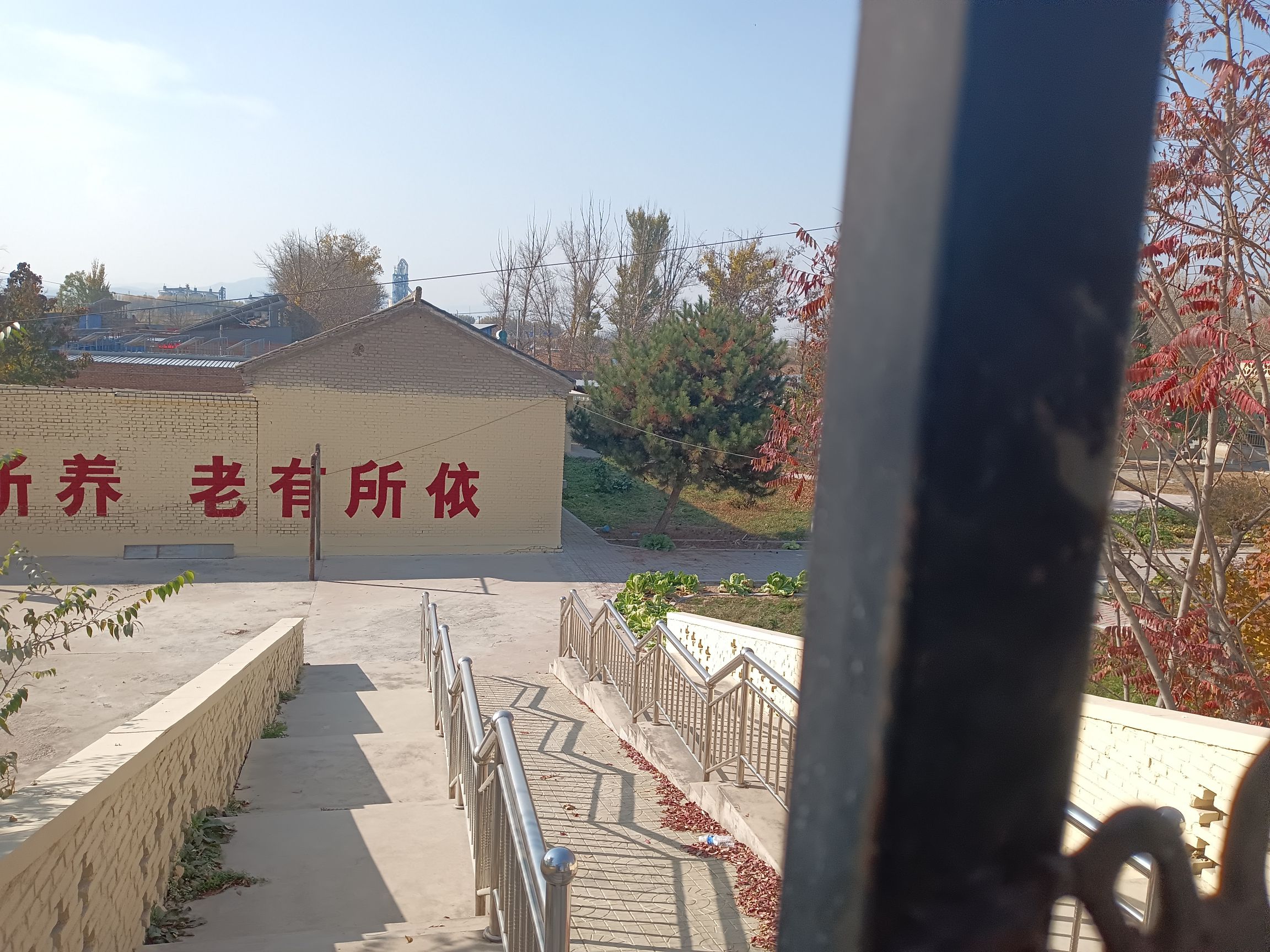铁猫公园旅行图片 3