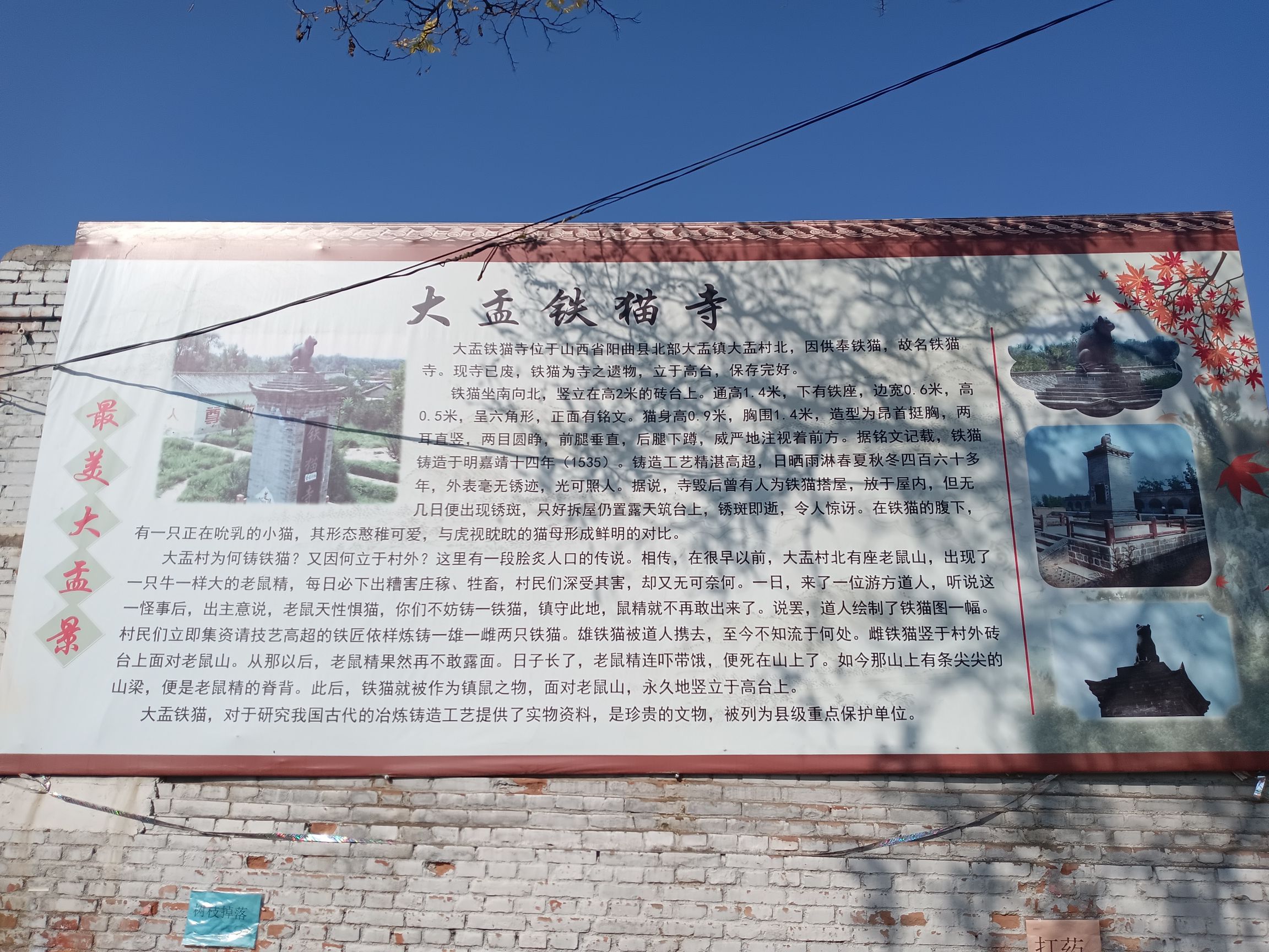 铁猫公园旅行图片 2
