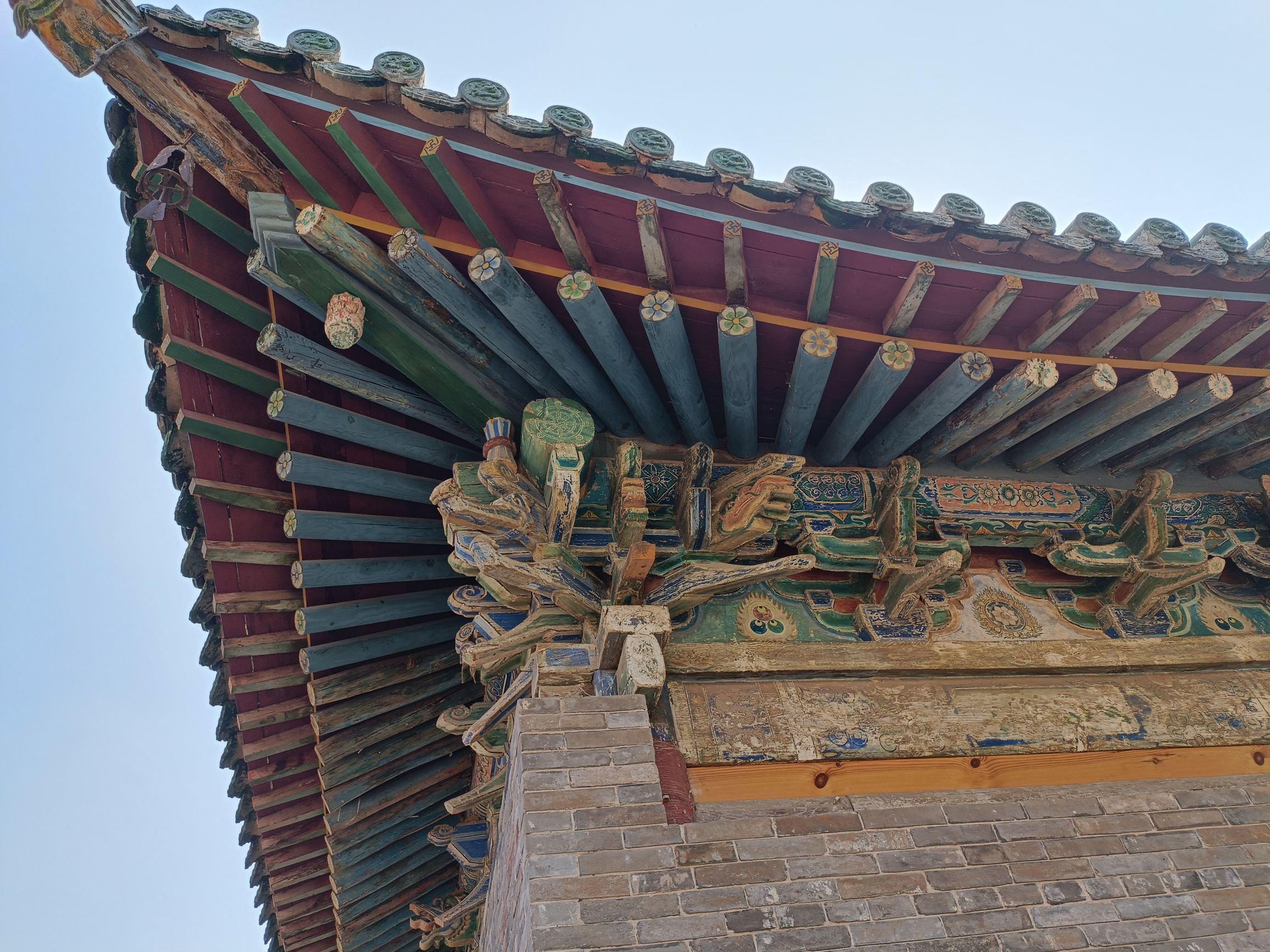 铁猫公园旅行图片 3
