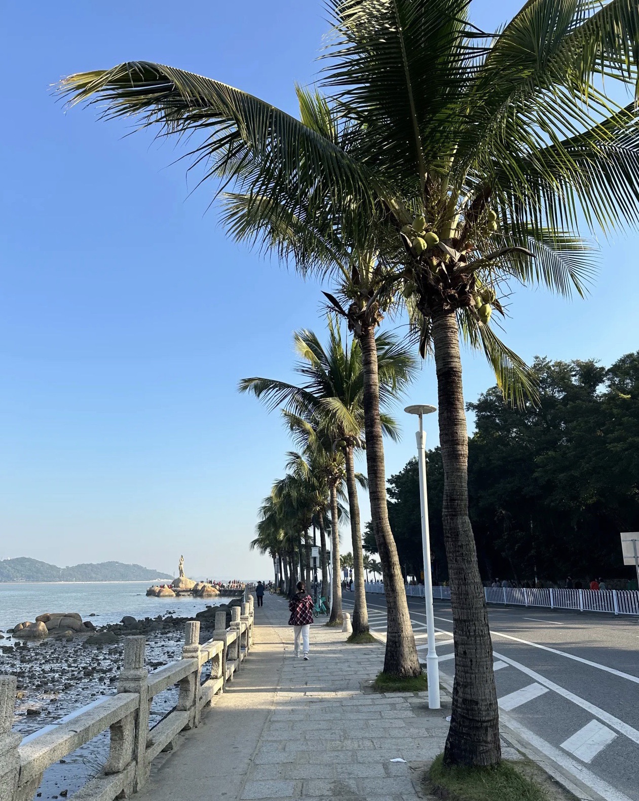 情侣路旅行图片 1