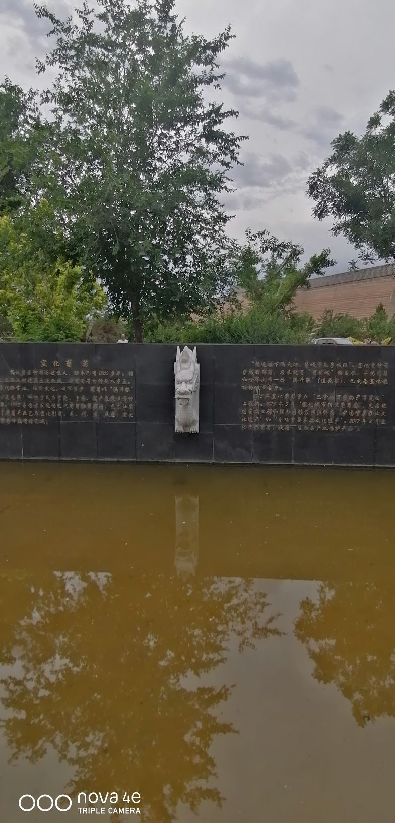 莲花葡萄小镇旅行图片 3