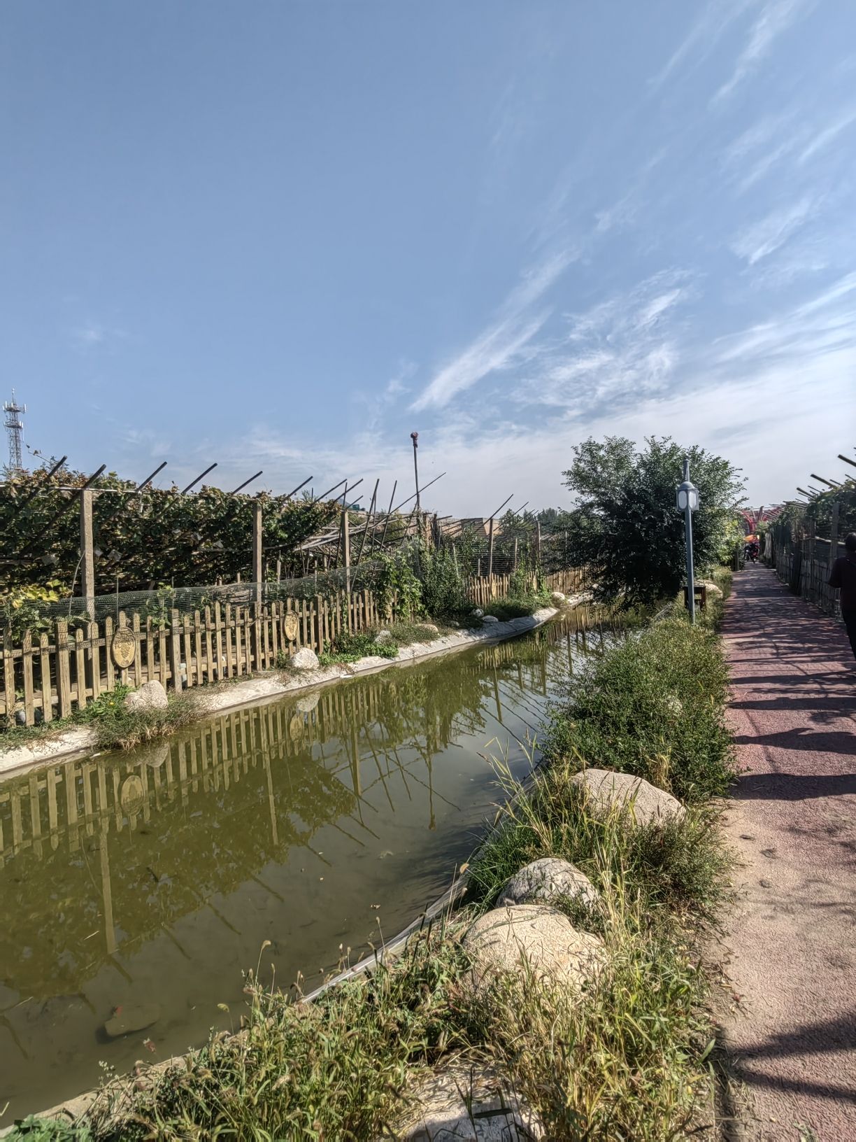 莲花葡萄小镇旅行图片 2