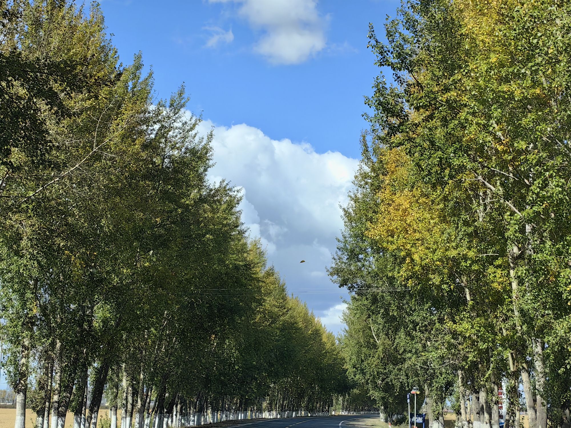 星火朝鲜族民俗园旅行图片 2