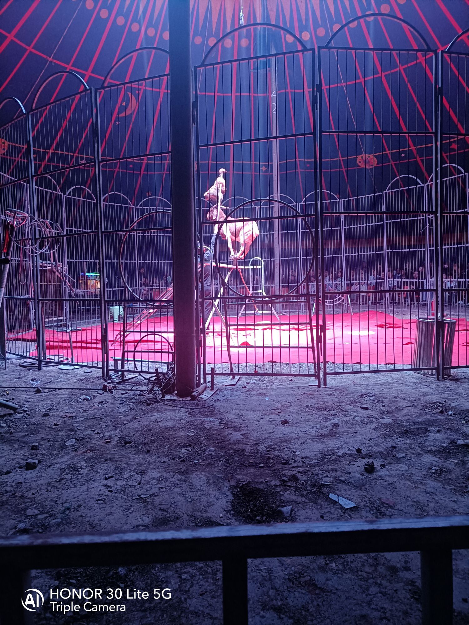 西窑沟森林动物园旅行图片 1