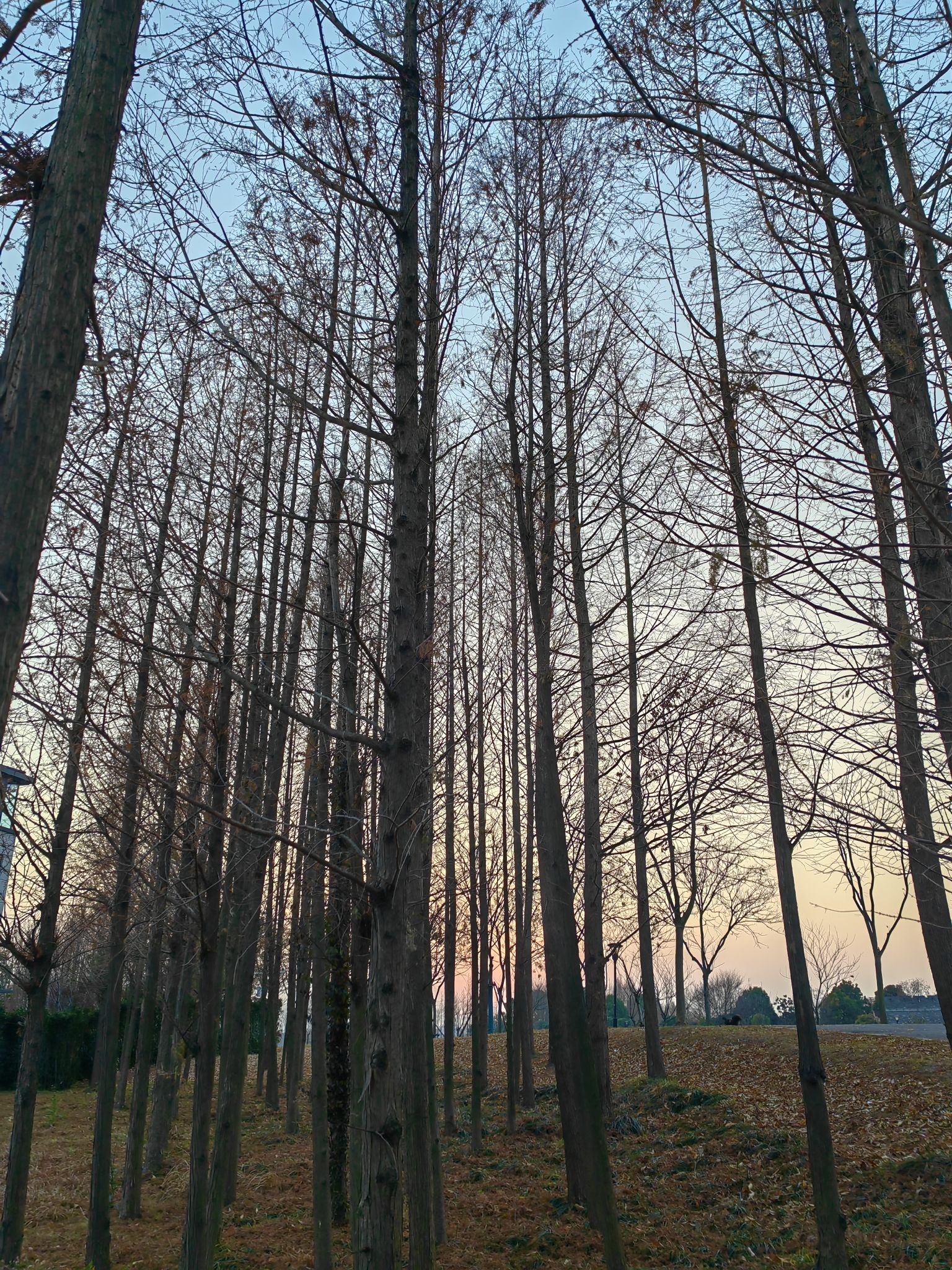 红旗河滨水体育公园旅行图片 3