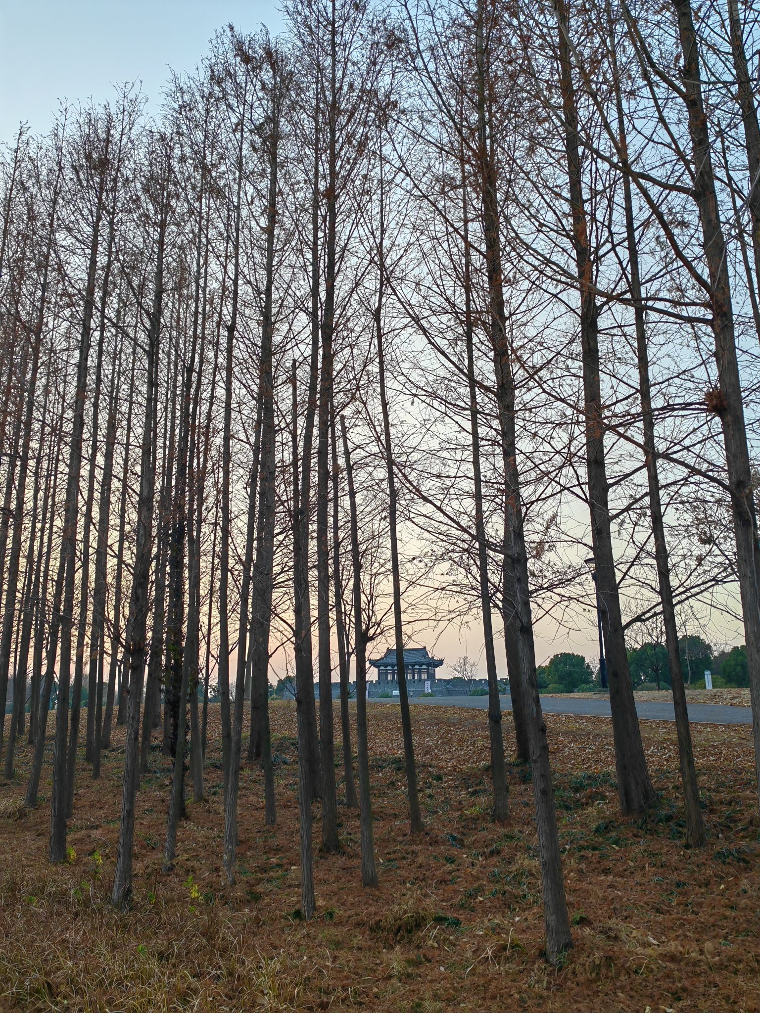 红旗河滨水体育公园旅行图片 2