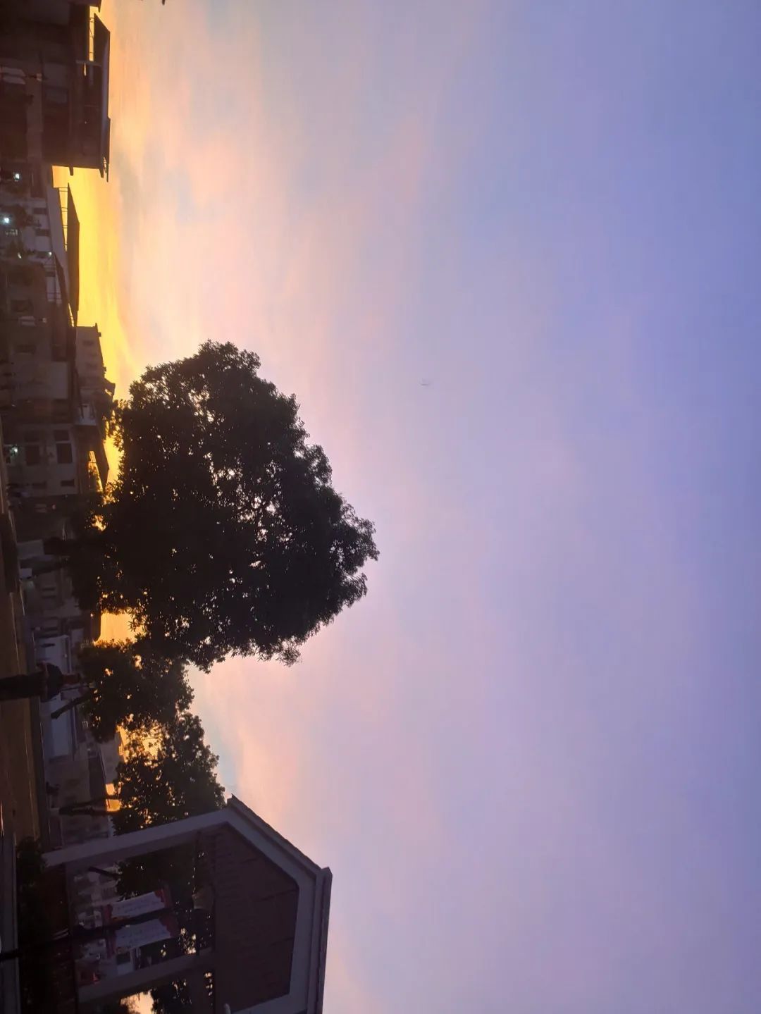 梅江区八一训练场旅行图片 1