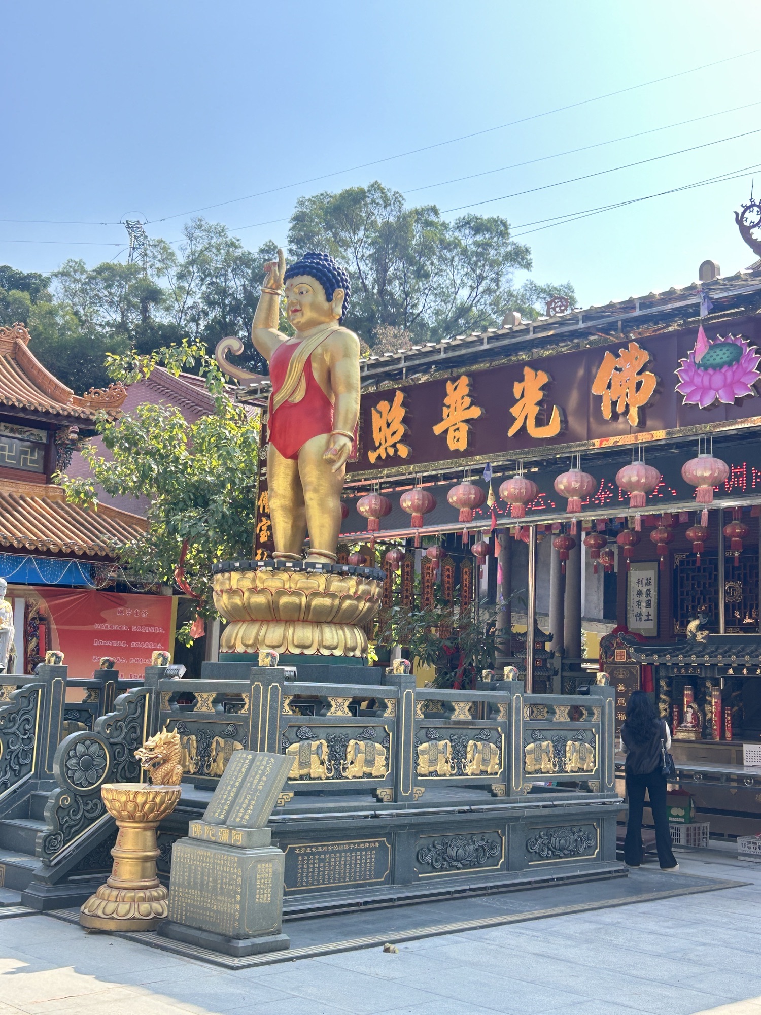 普宁市佛教来山阁禅寺实景照片