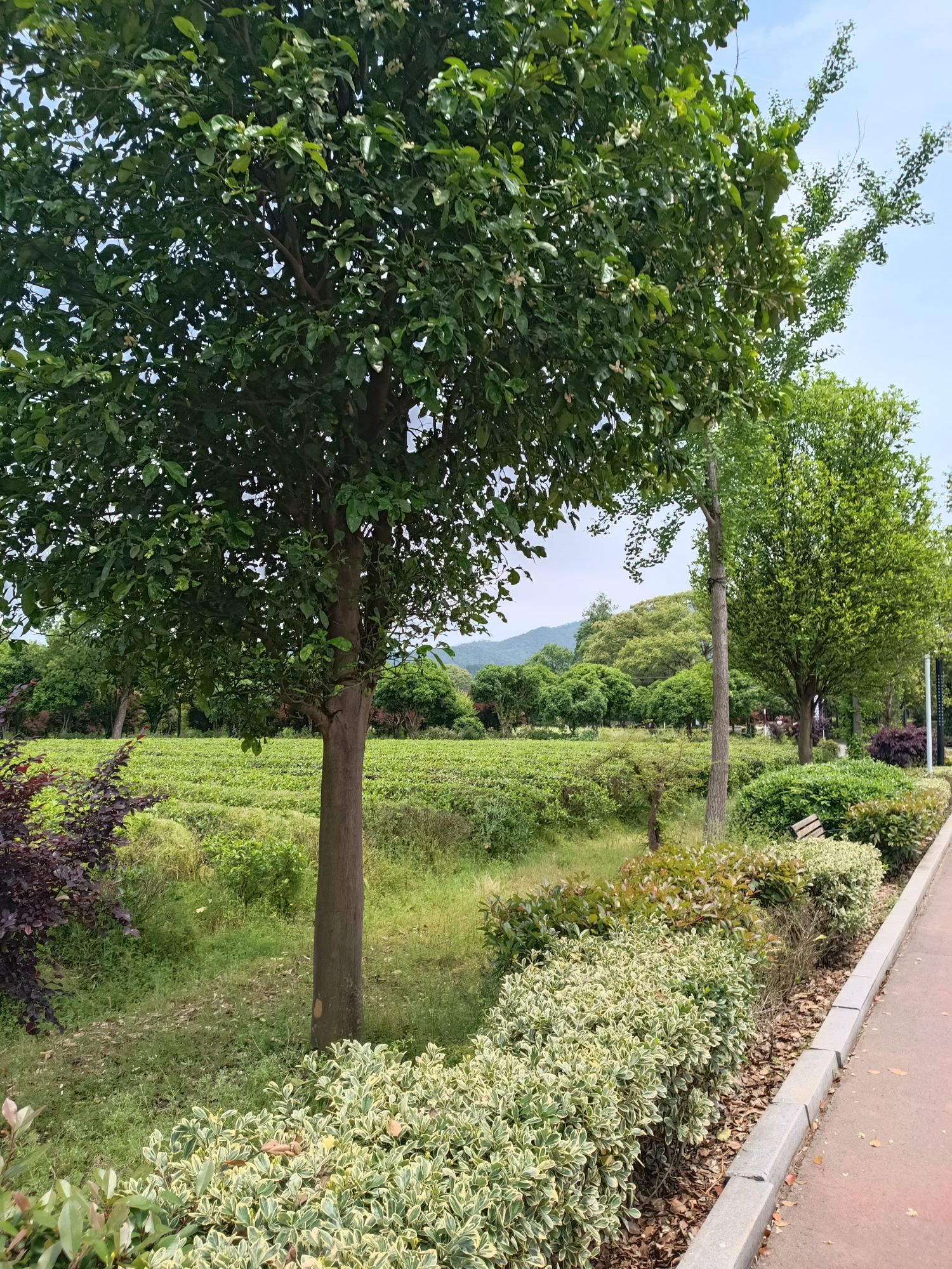 紫竹山景区旅行图片 2