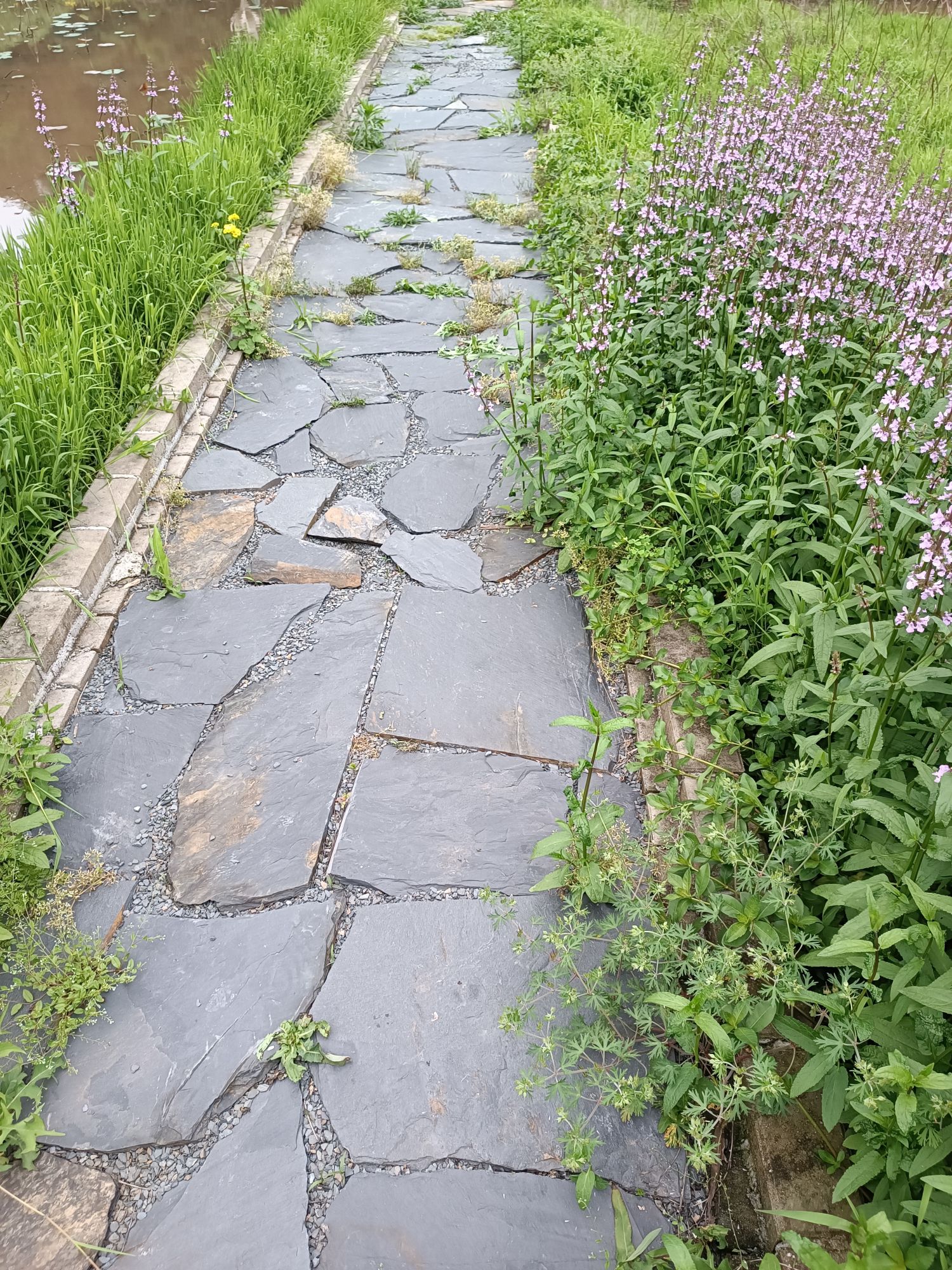 紫竹山景区旅行图片 1