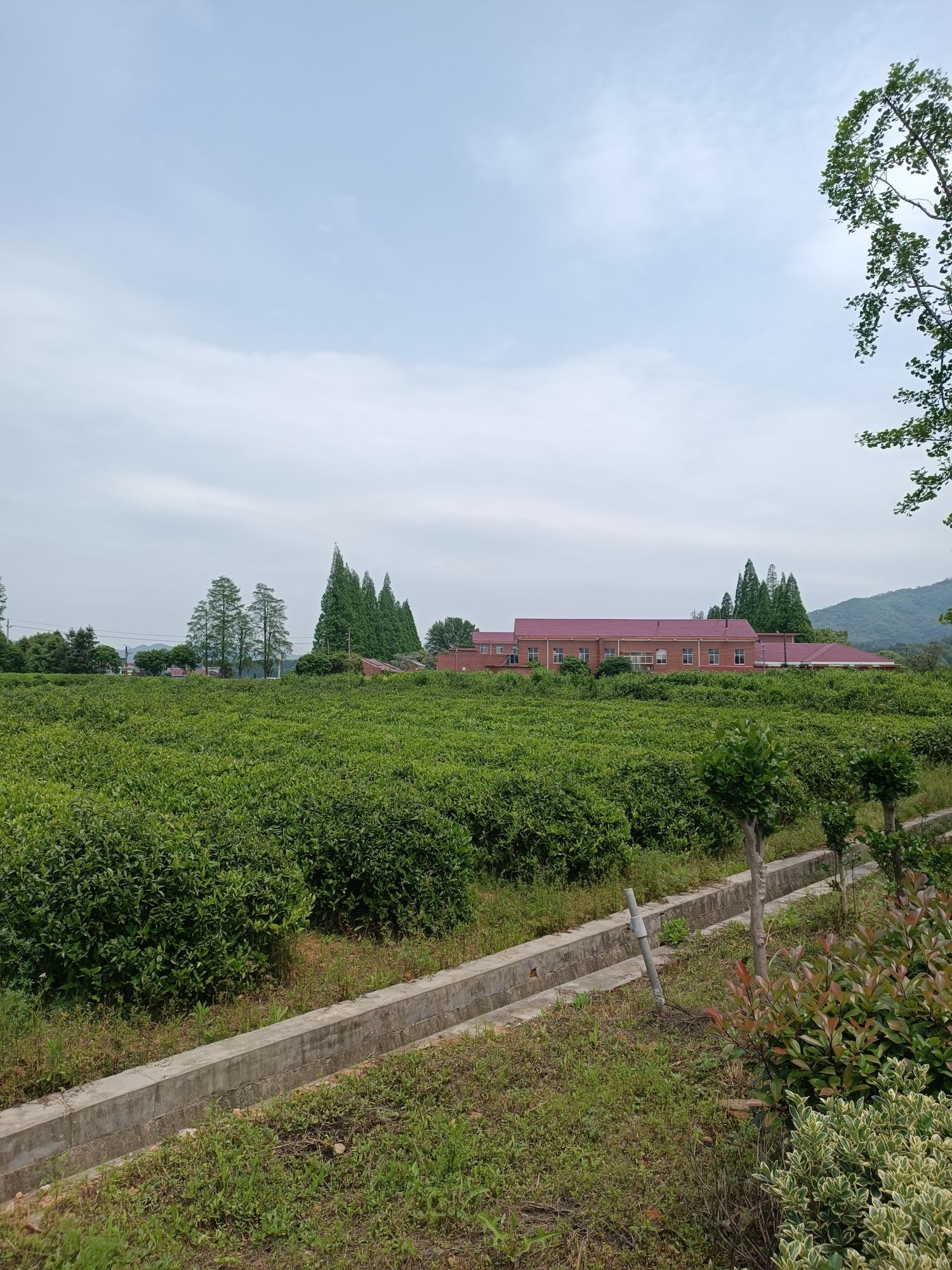 紫竹山景区旅行图片 3
